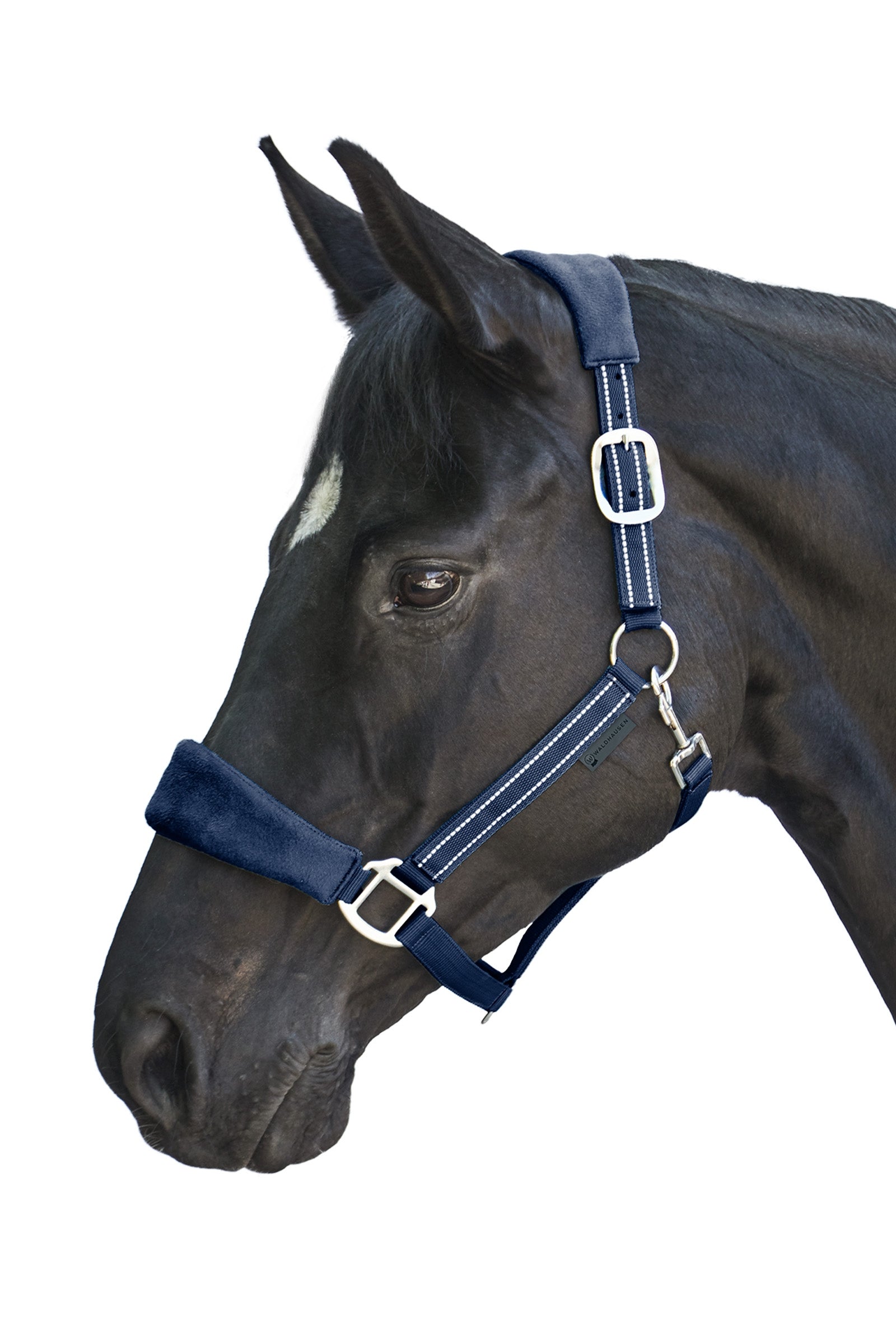 Waldhausen Alcantara Halter Halters & Leads