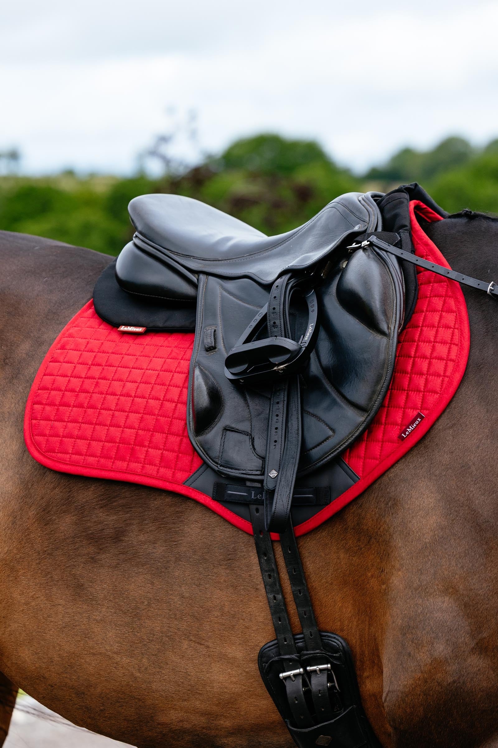 LeMieux Lemieux Suede Close Contact Square Saddle Pad Saddle Pads