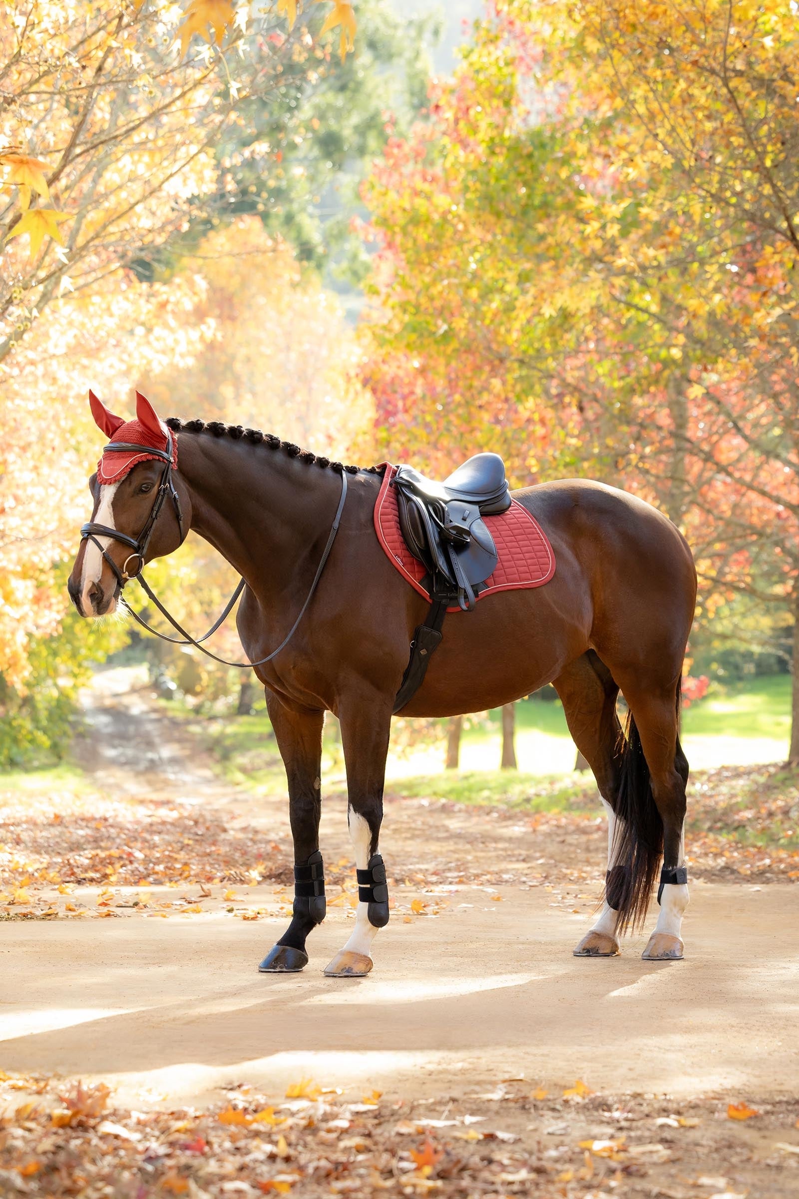 LeMieux Lemieux Suede Close Contact Square Saddle Pad Saddle Pads
