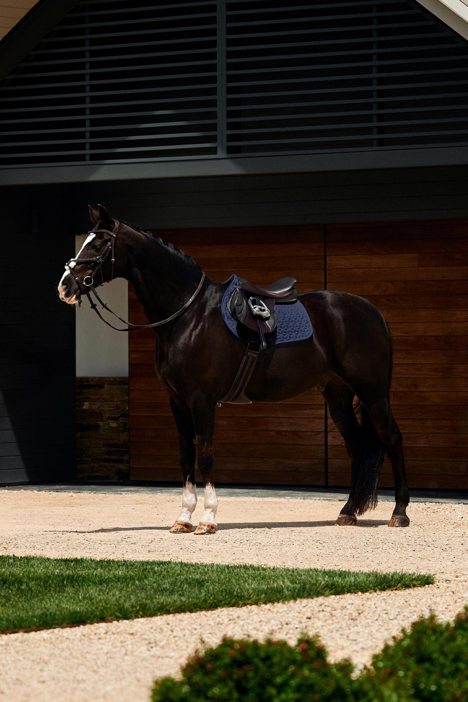 Weatherbeeta Suede Elite Air-Tec Jump Shaped Saddle Pad Saddle Pads