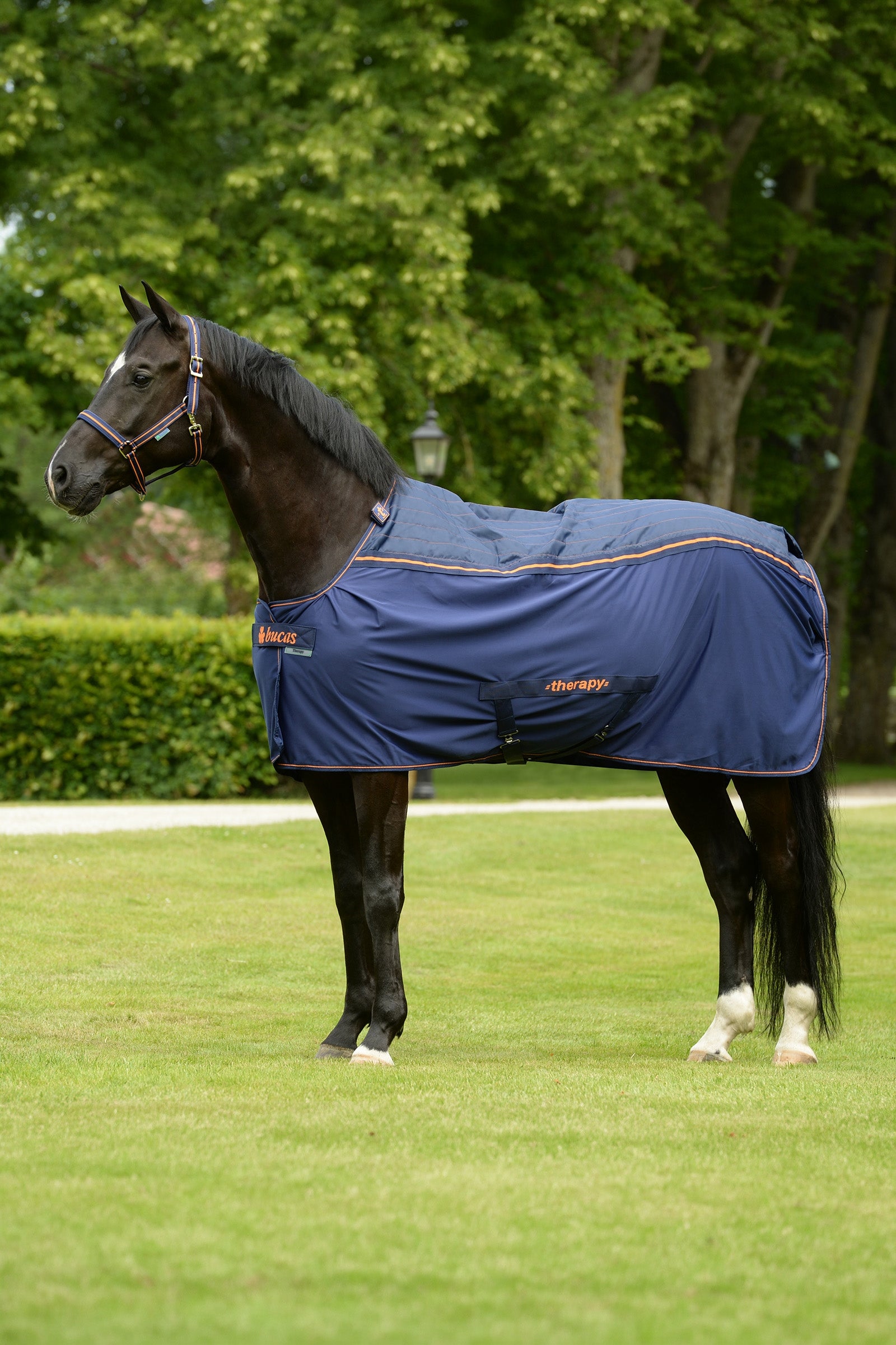Bucas Therapy Cooler Rug, 0 g Horse Rugs