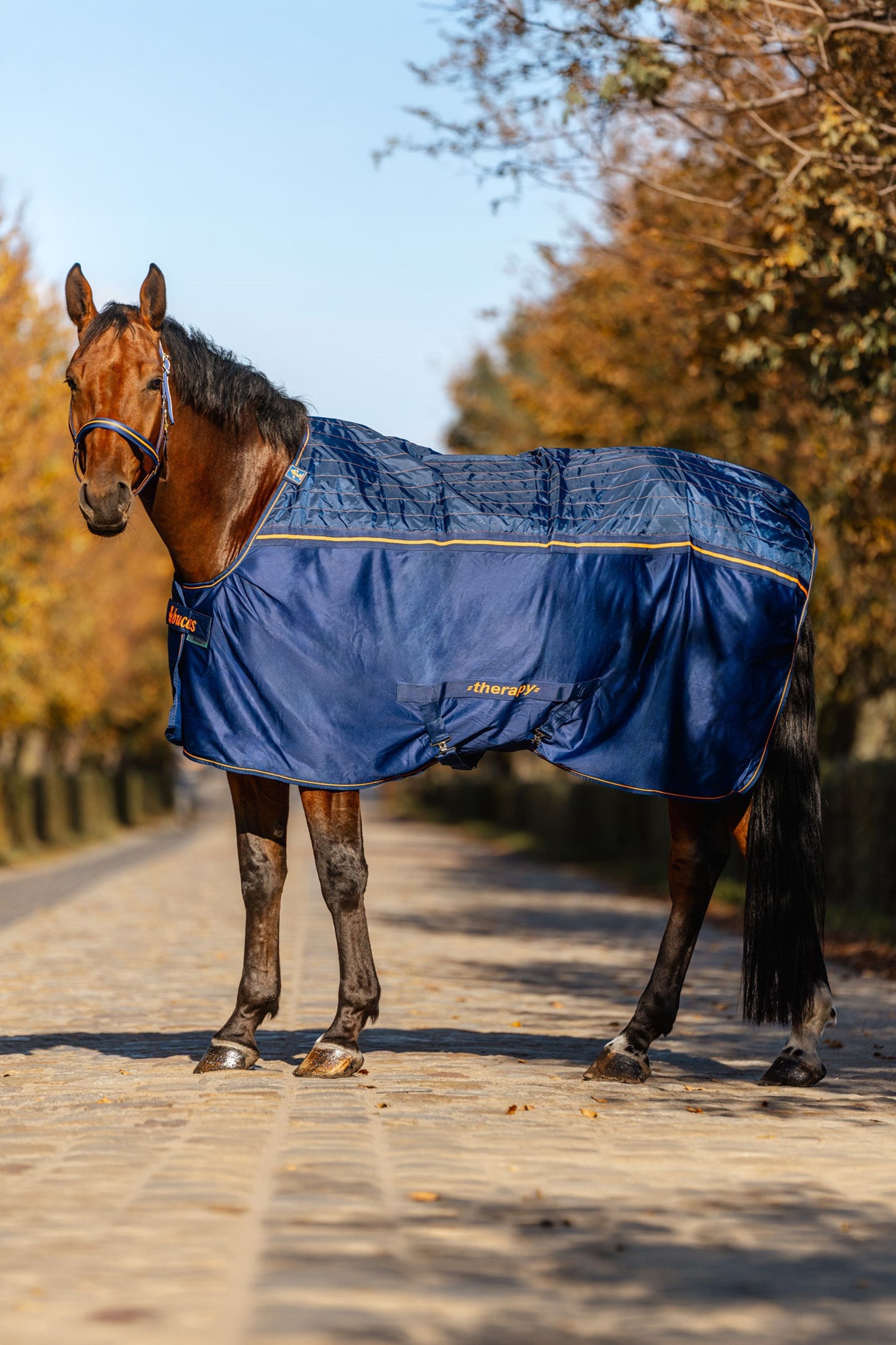 Bucas Therapy Cooler Rug, 0 g Horse Rugs