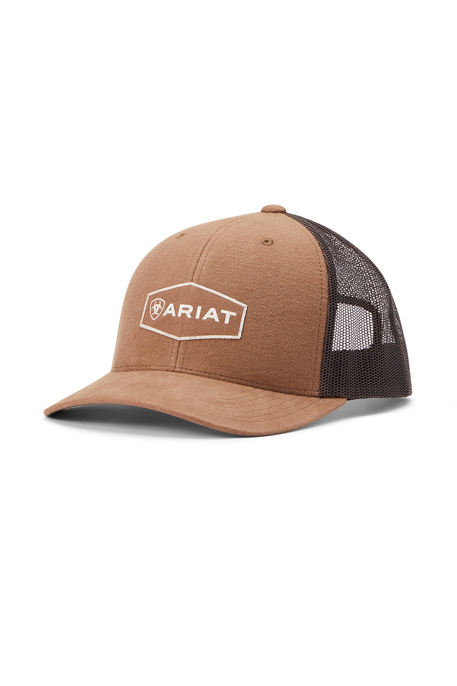 Alt Tag fallback text for IMAGE