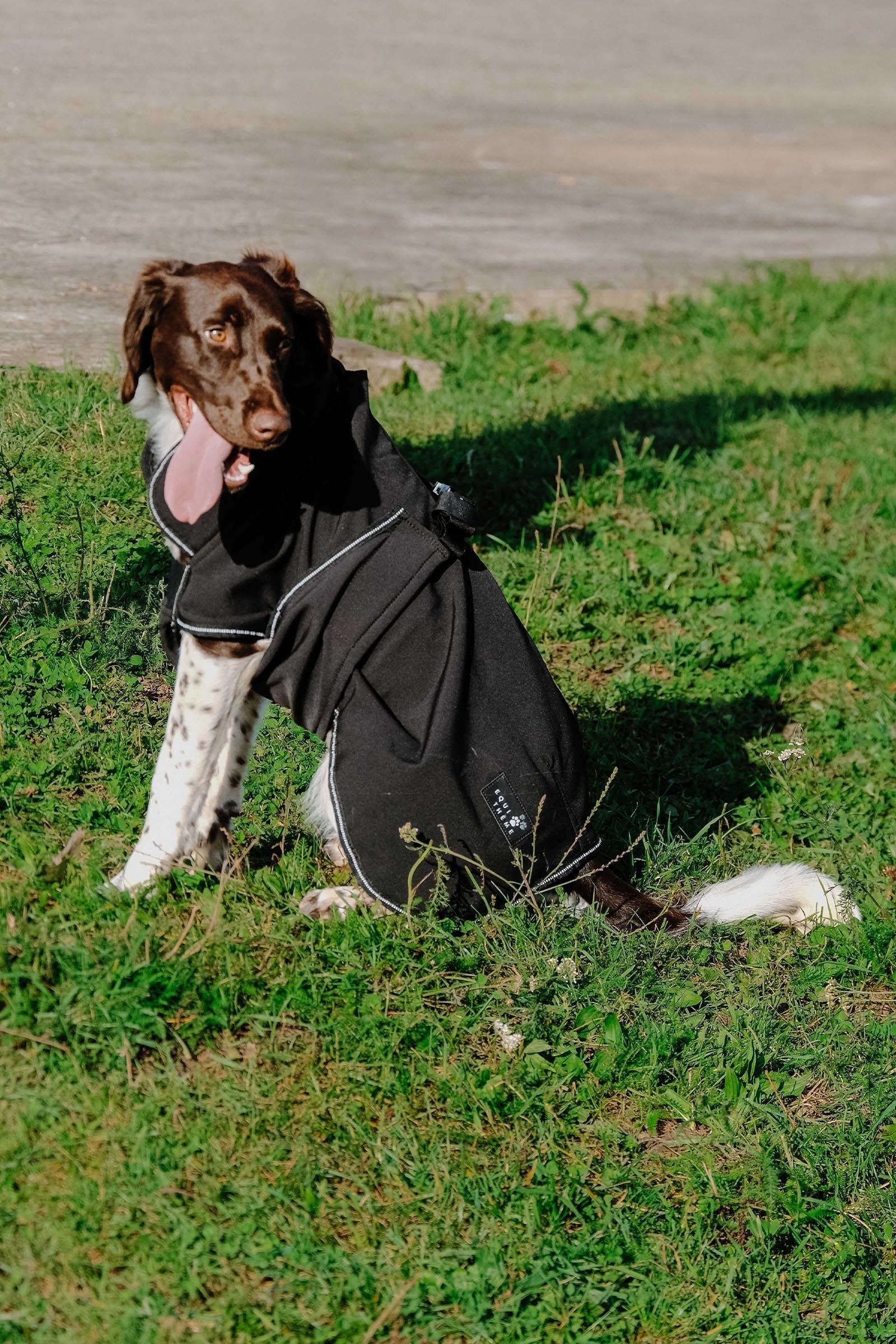 EQUITHÈME Softshell Dog Rug Dog Accesories