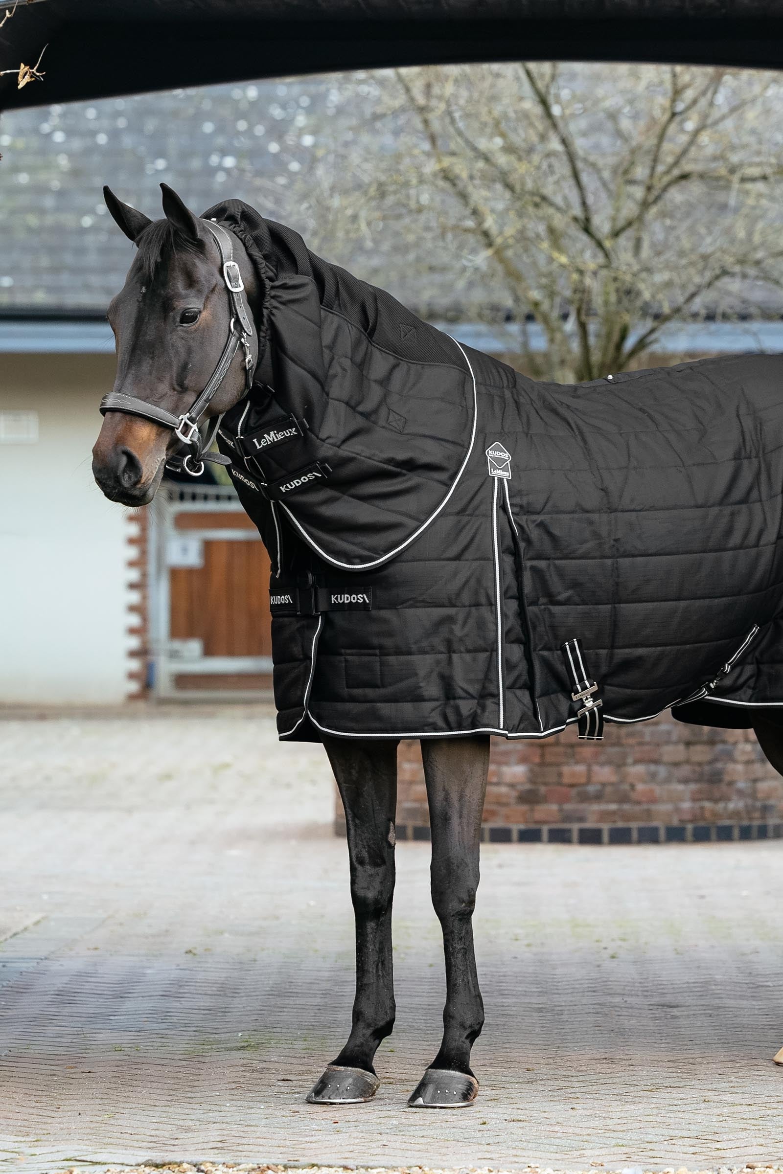 LeMieux Kudos ClimaCore Stable Rug With Neck, 200 g Horse Rugs