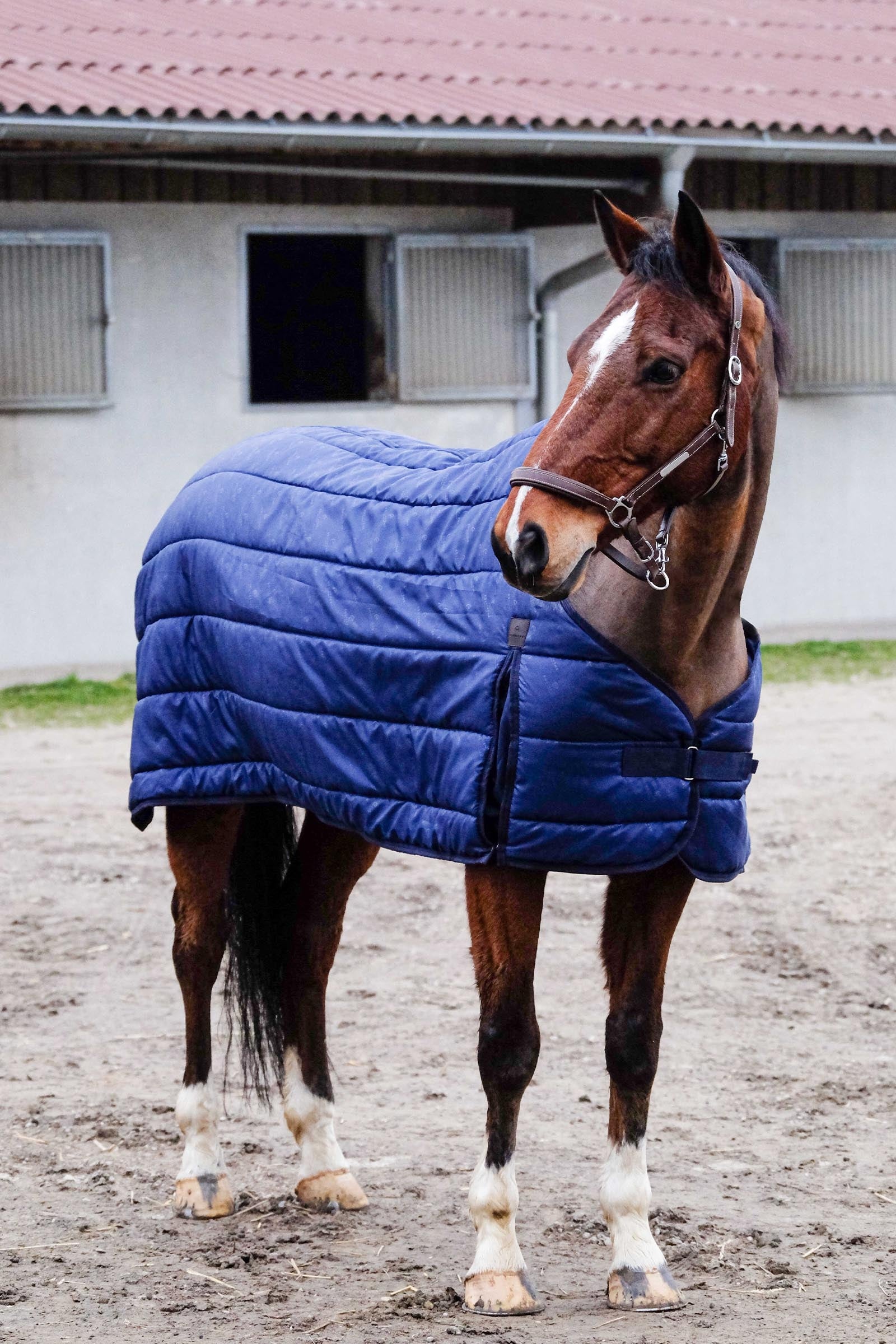 EQUITHÈME Classic Under Rug, 300 g Horse Rugs