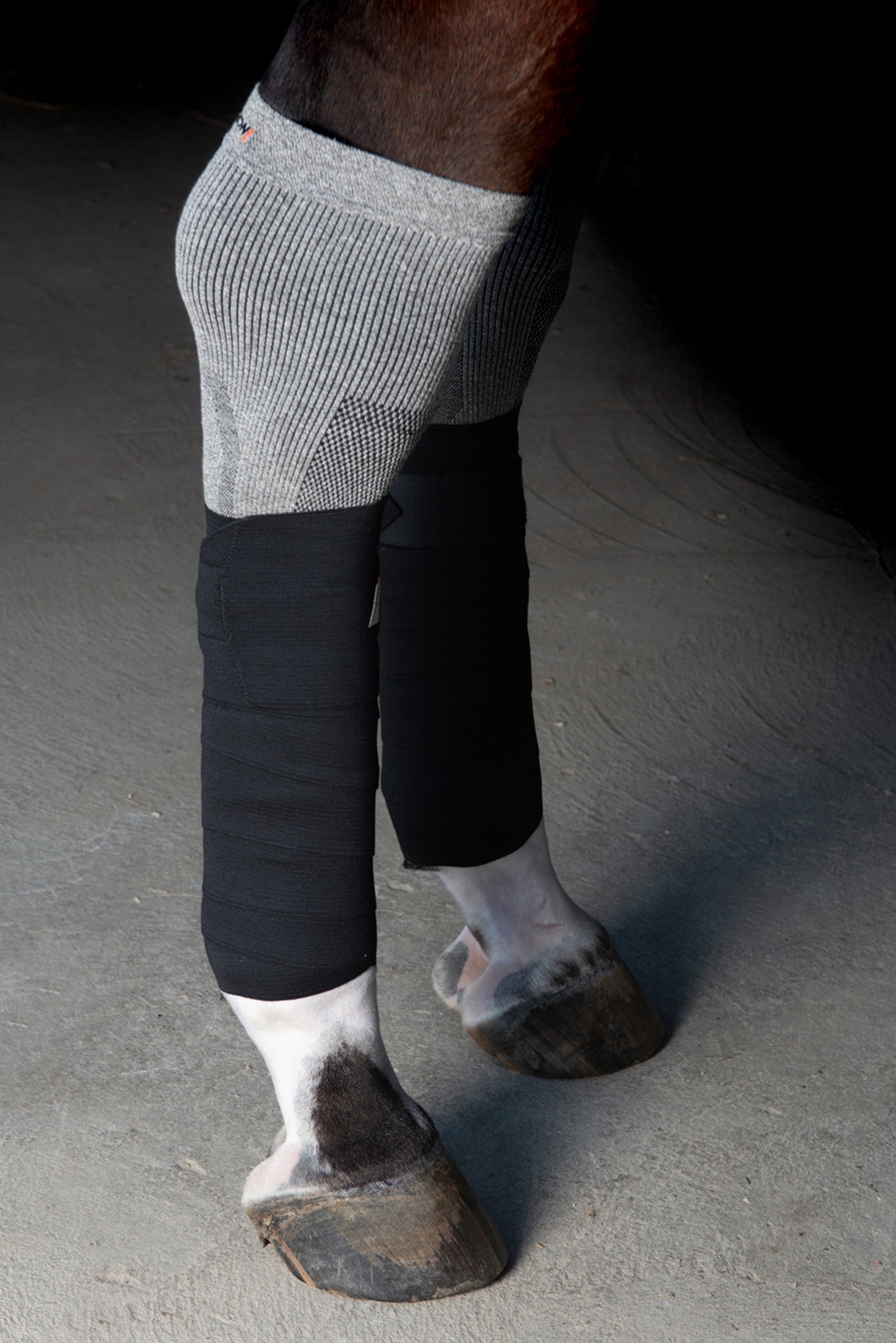 Incrediwear Circulation Exercise Bandages - 12,5 cm Leg & Hoof Protection