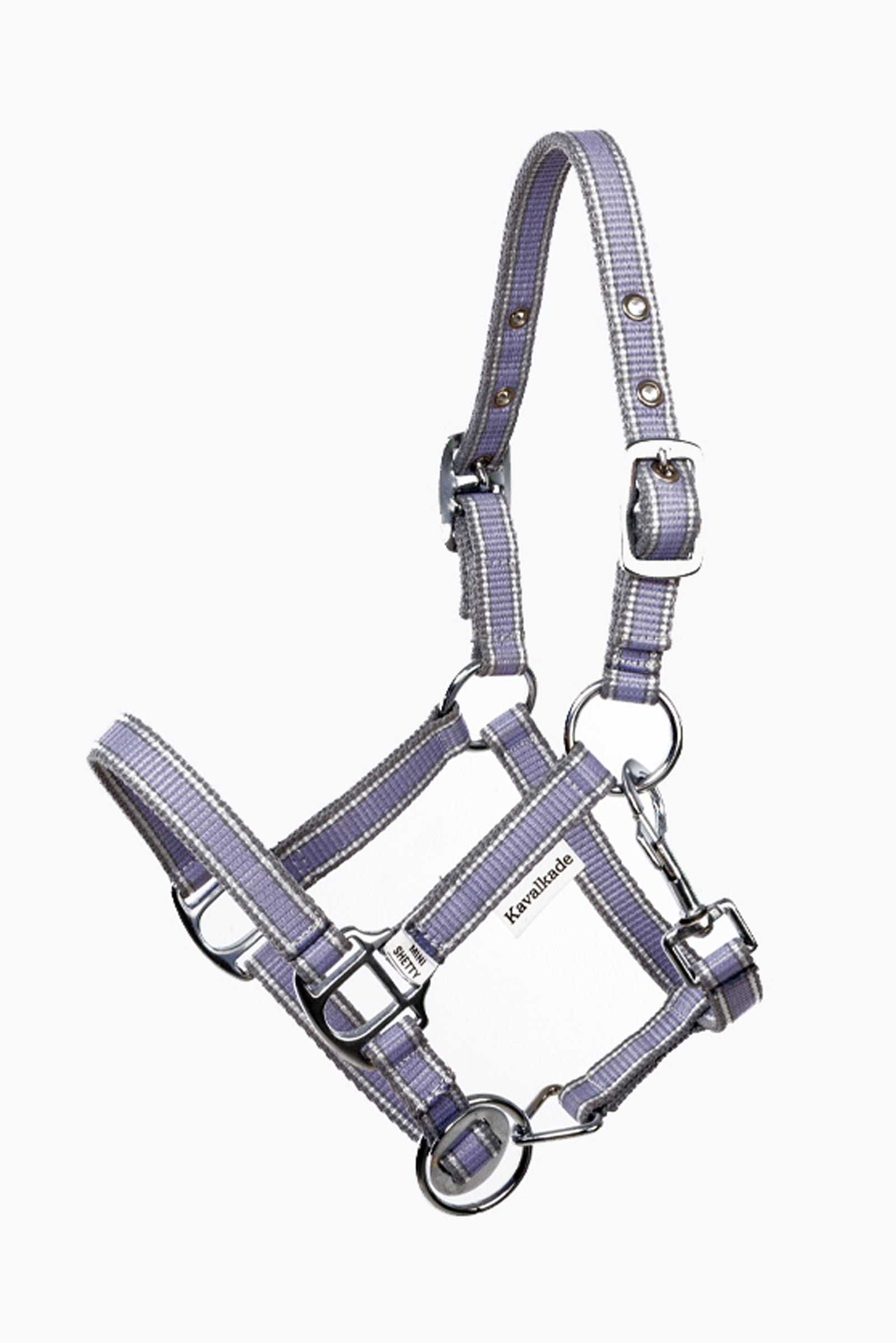 Alt Tag fallback text for IMAGE