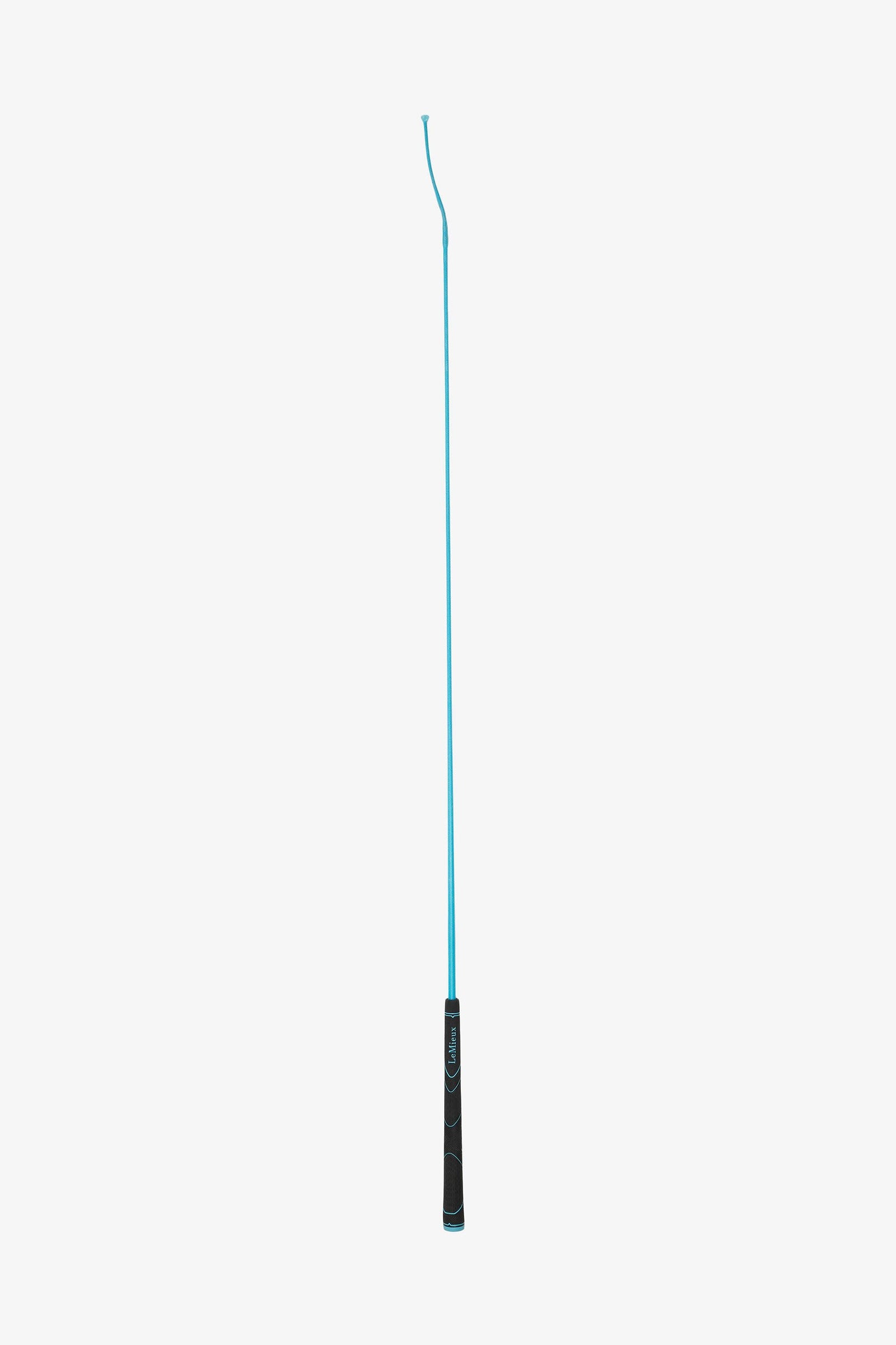 Alt Tag fallback text for IMAGE