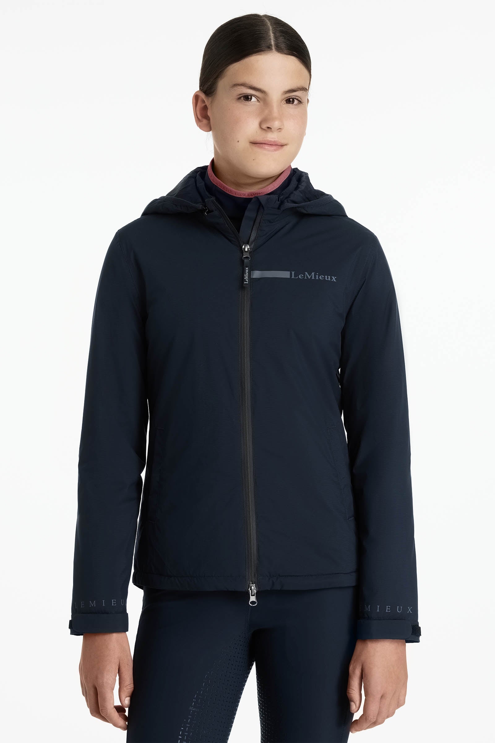 Alt Tag fallback text for IMAGE