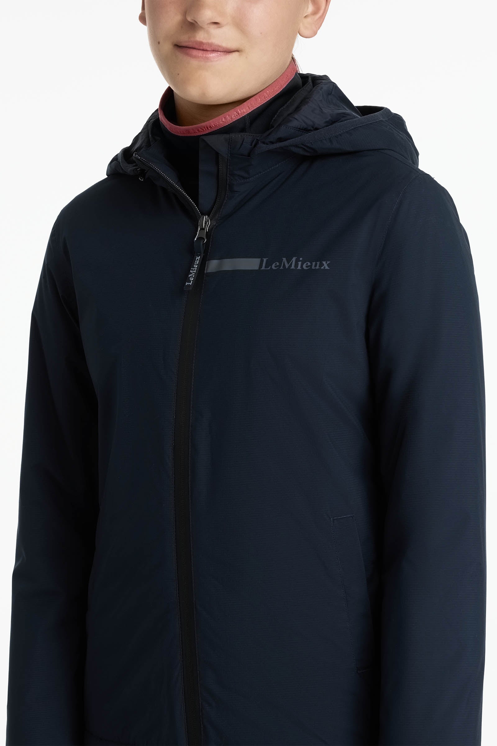 Alt Tag fallback text for IMAGE