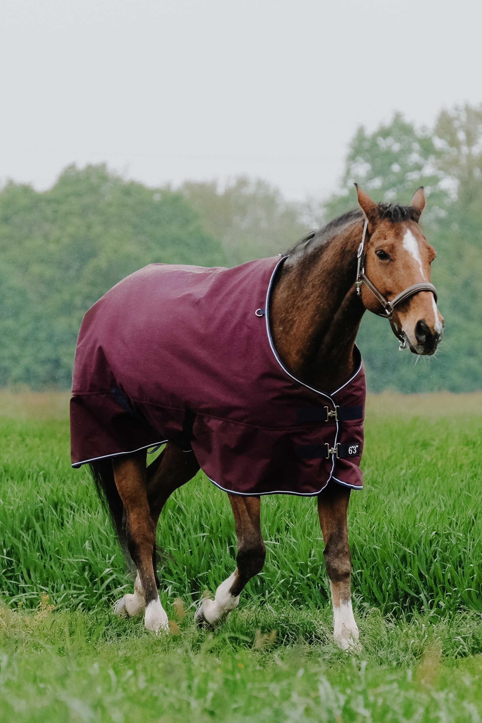 EQUITHÈME TYREX 1200D Turnout Rug, 300 g Horse Rugs