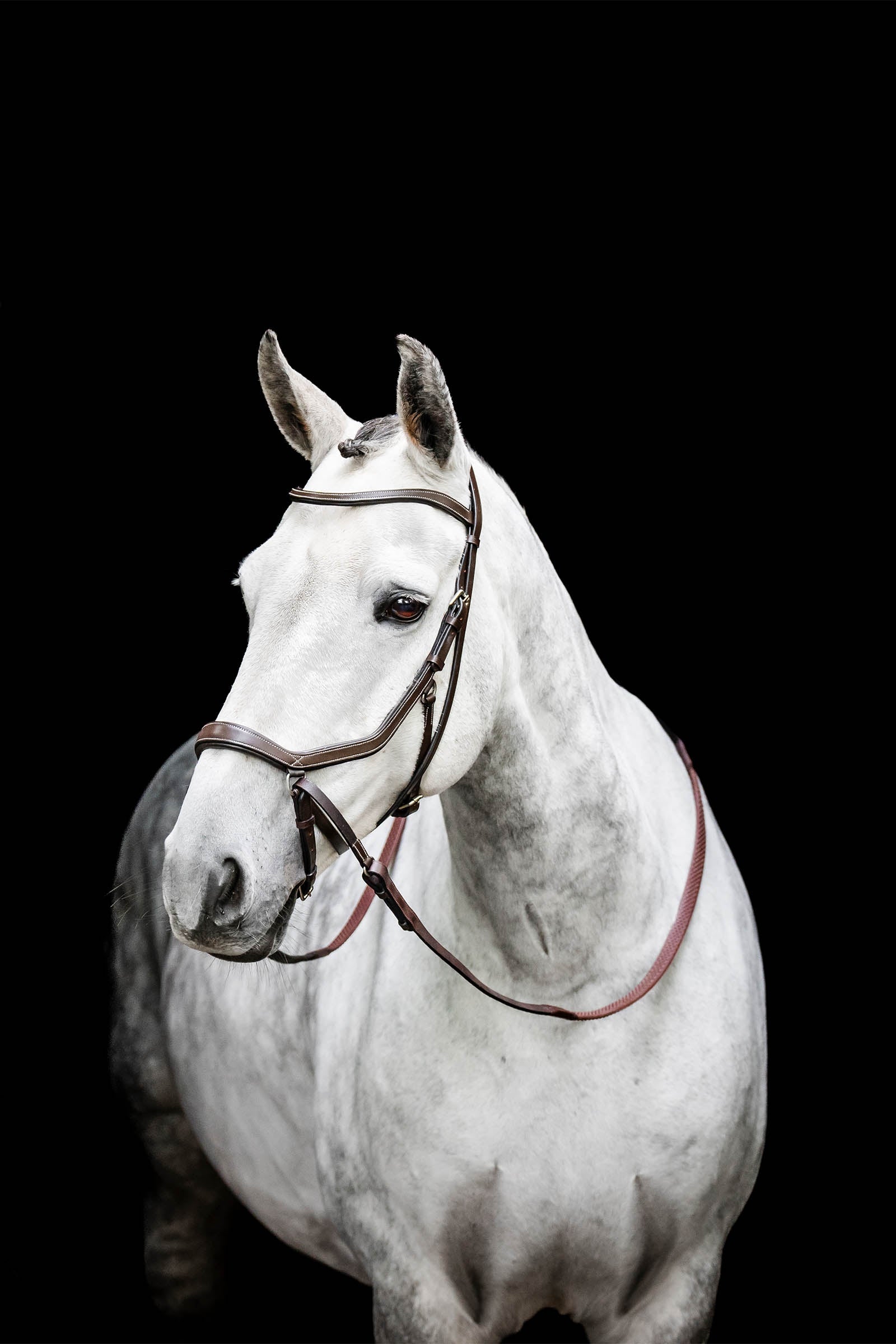 Horseware Micklem Bitless Bridle Bridles & Reins