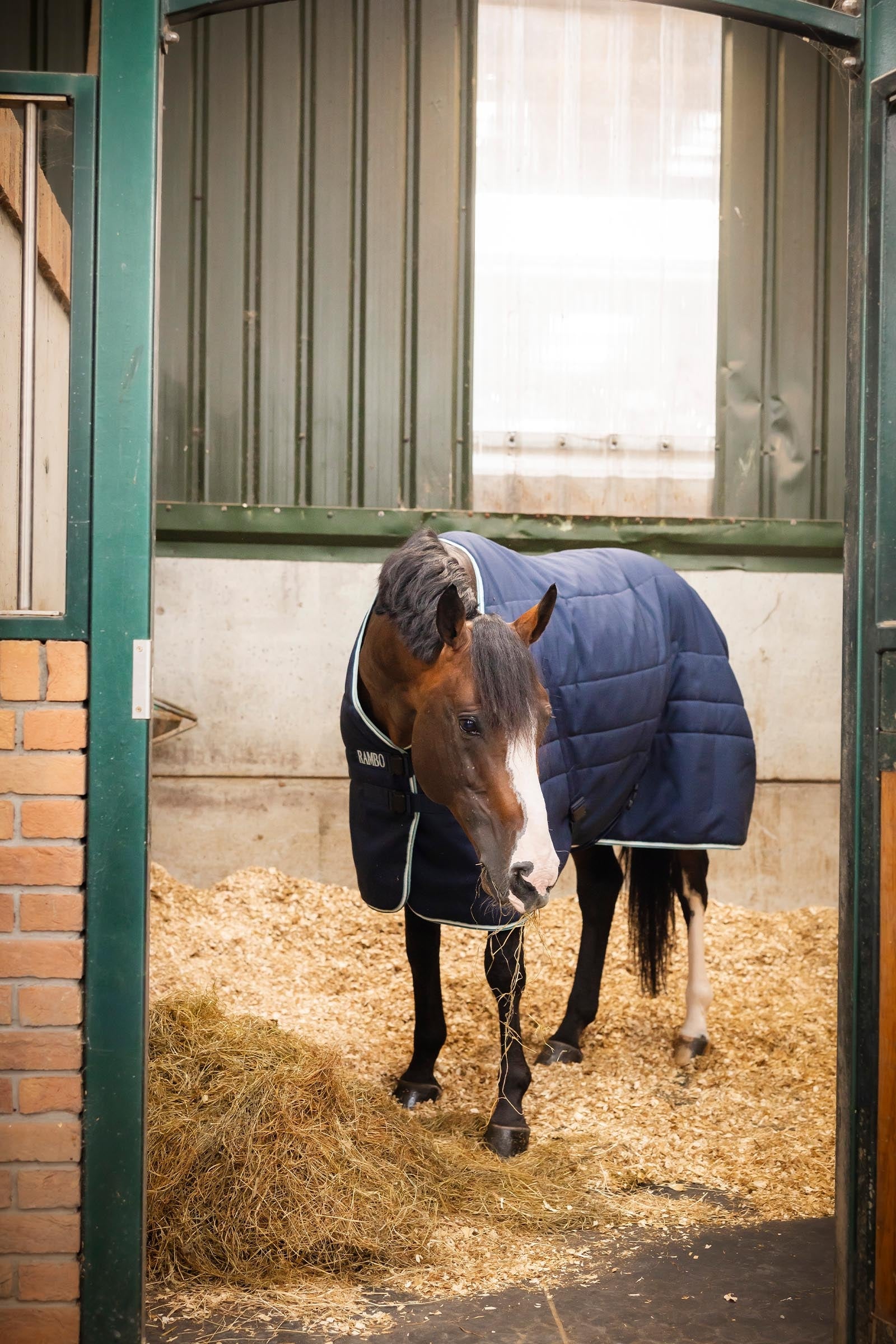 Horseware Rambo Magnetic Stable Rug, 200g Horse Rugs