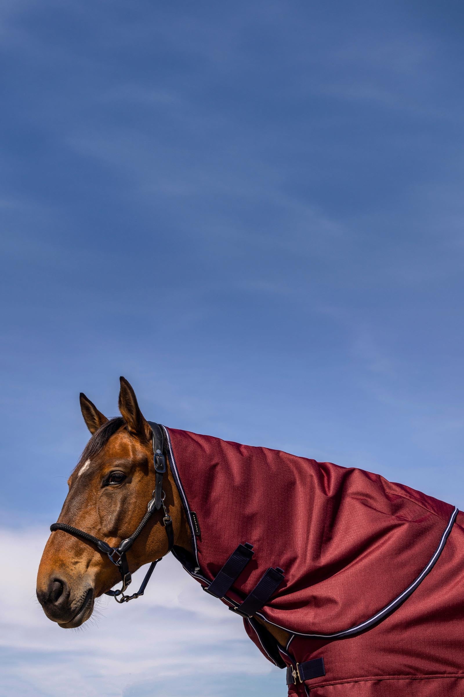 EQUITHÈME TYREX 1200D Neck Cover, 200g Horse Rugs
