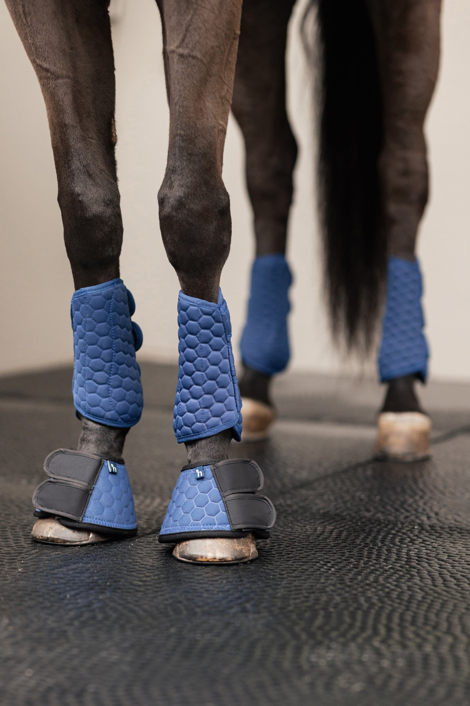 Horze Urban Vitality Bell Boots Leg & Hoof Protection
