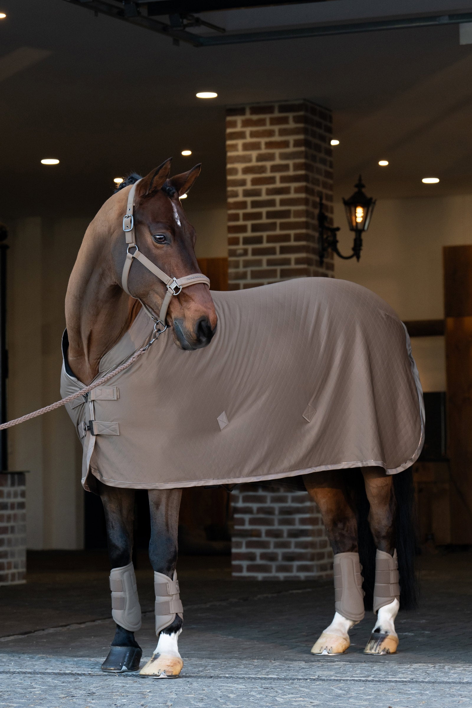 Eskadron Platinum 25 Faux Leather Tendon Boots Leg Protection & Hoof Protection for Horses