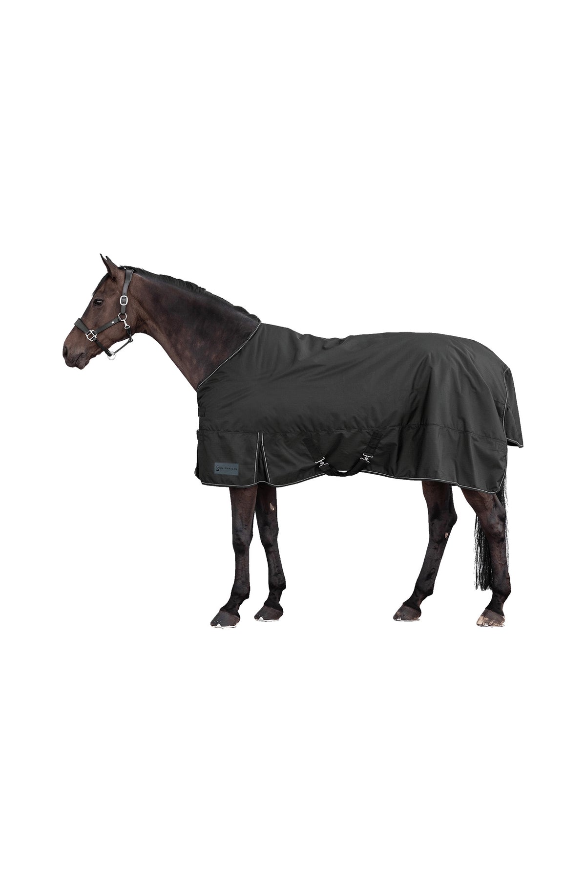 Waldhausen NORDIC 600D Outdoor Rug, 100 g Horse Rugs