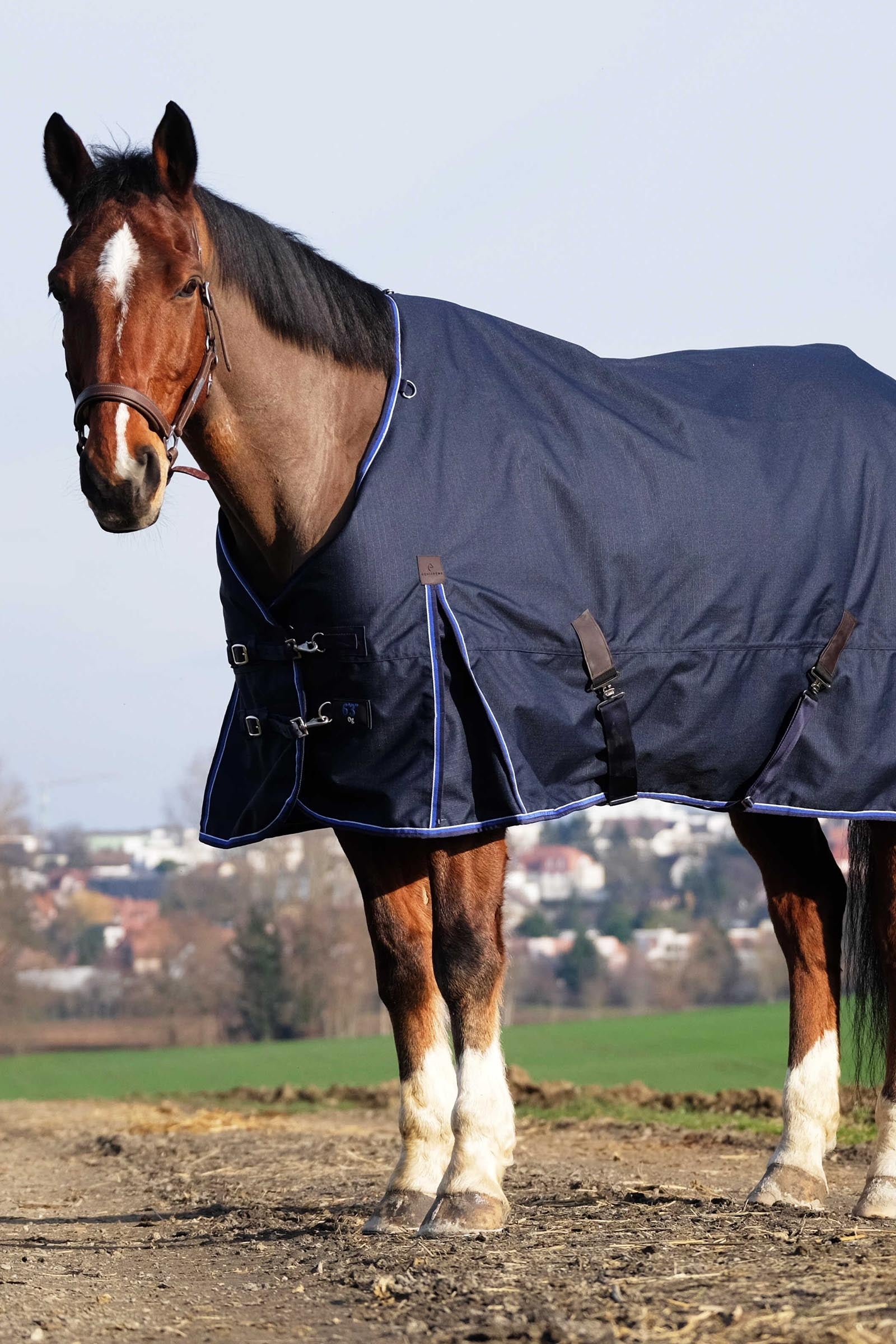 EQUITHÈME Classic 1200D Turnout Rug, 100 g Horse Rugs