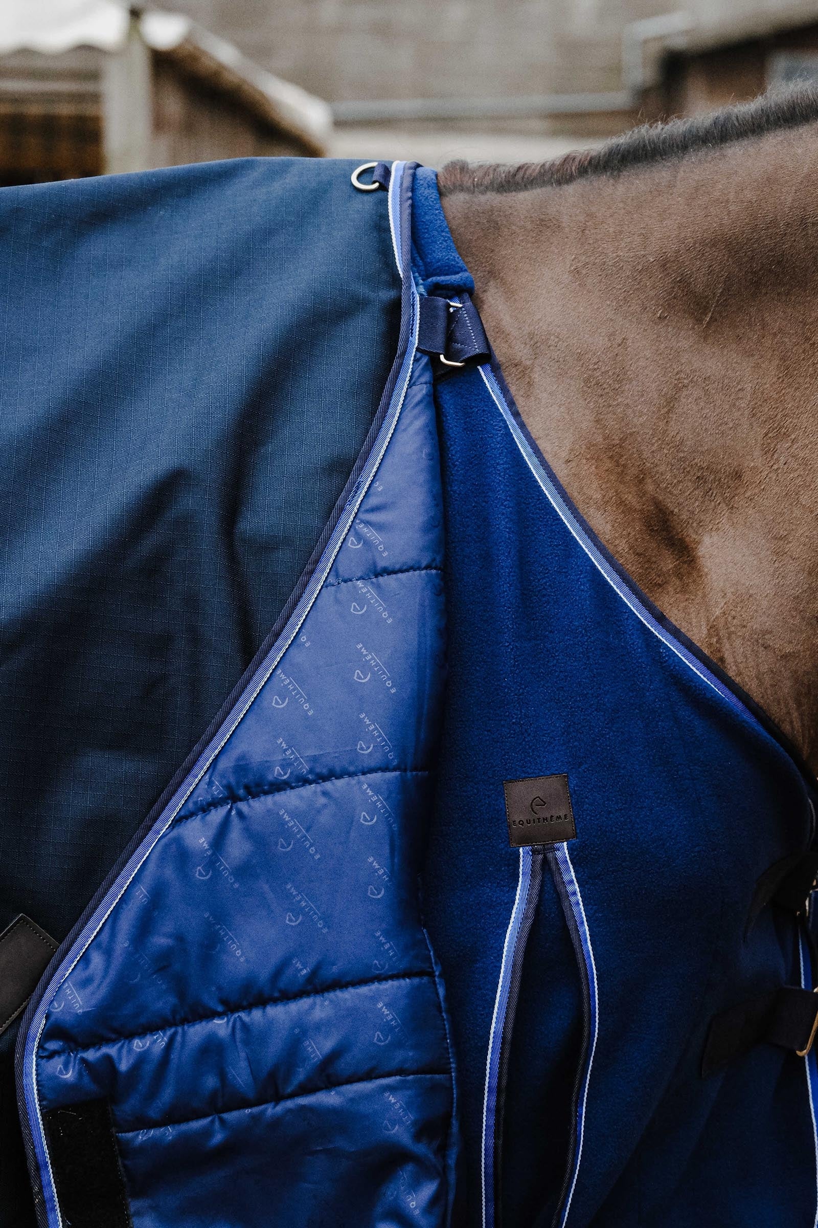 EQUITHÈME Classic 1200D Turnout Rug, 100 g Horse Rugs