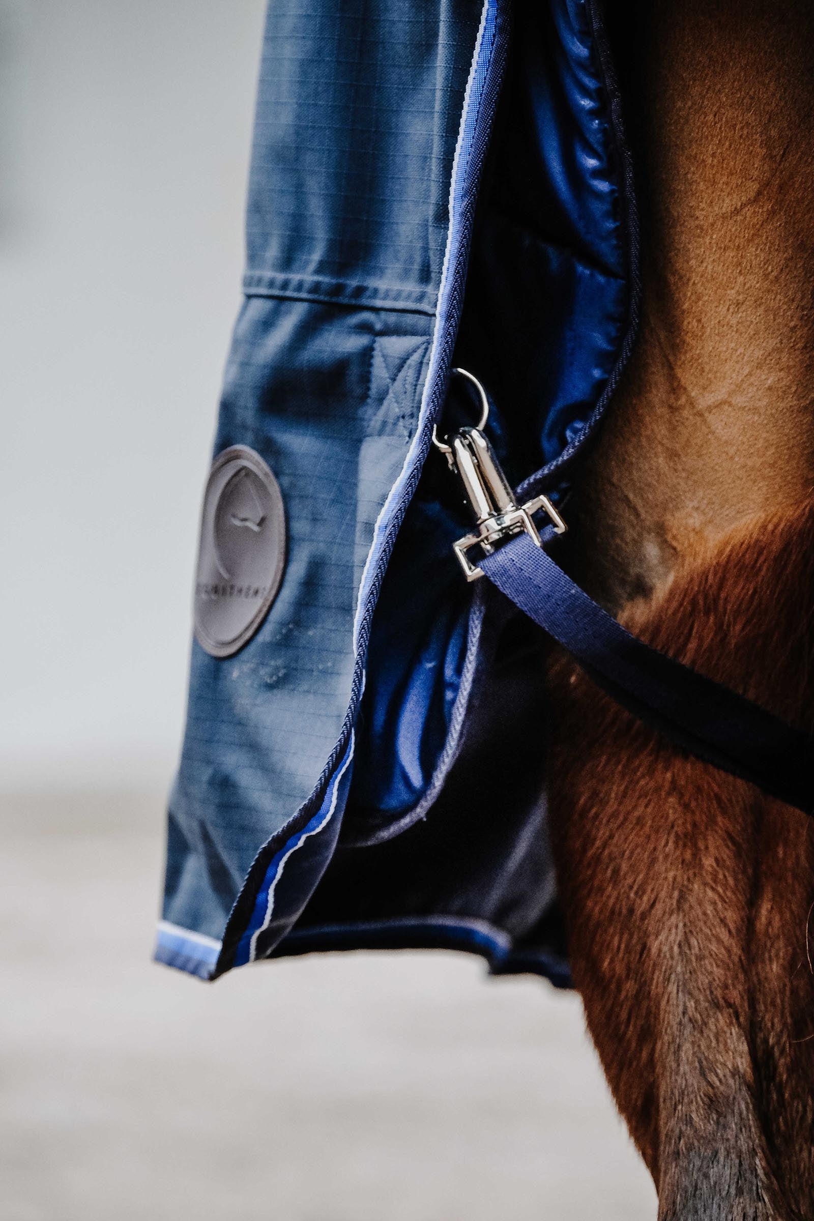 EQUITHÈME Classic 1200D Turnout Rug, 100 g Horse Rugs