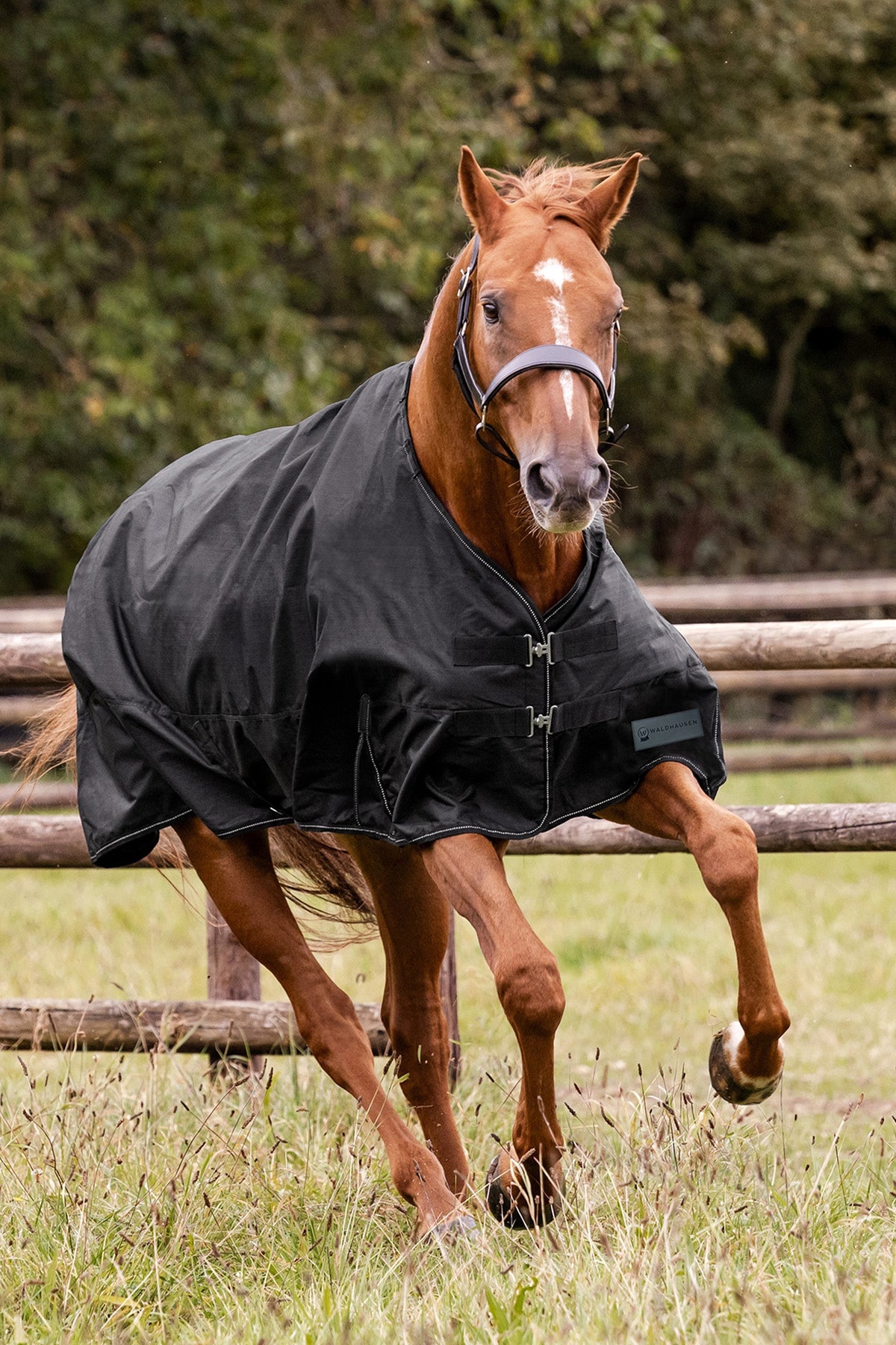 Waldhausen NORDIC 600D Light Outdoor Rug Horse Rugs