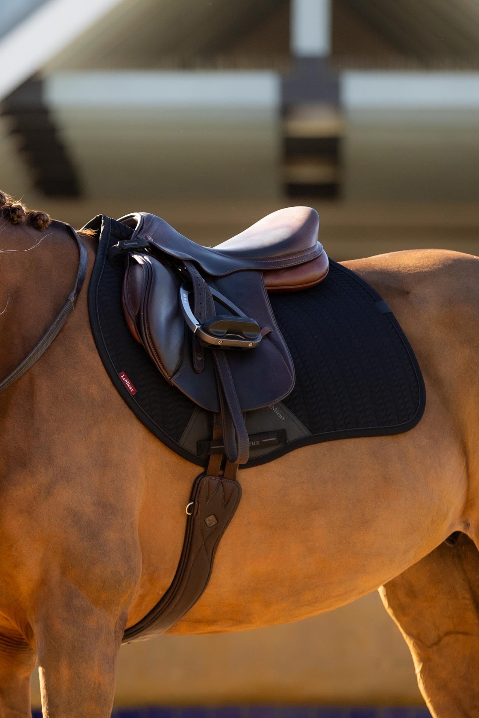 LeMieux Essence Eurojump Jumping Saddle Pad Saddle Pads