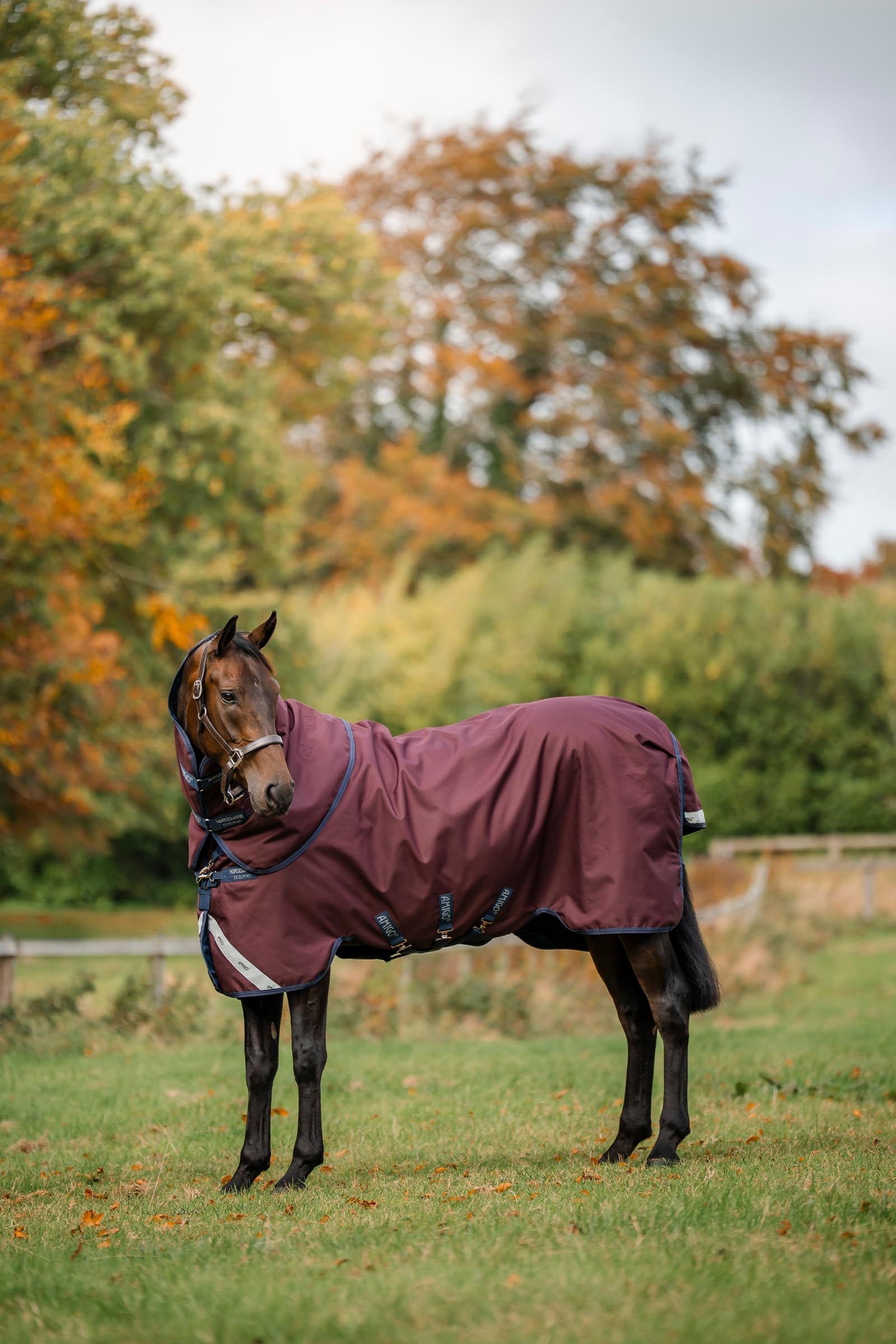 Horseware Amigo Bravo 12 Plus Turnout Rug With Detachable Neck, 0g Horse Rugs