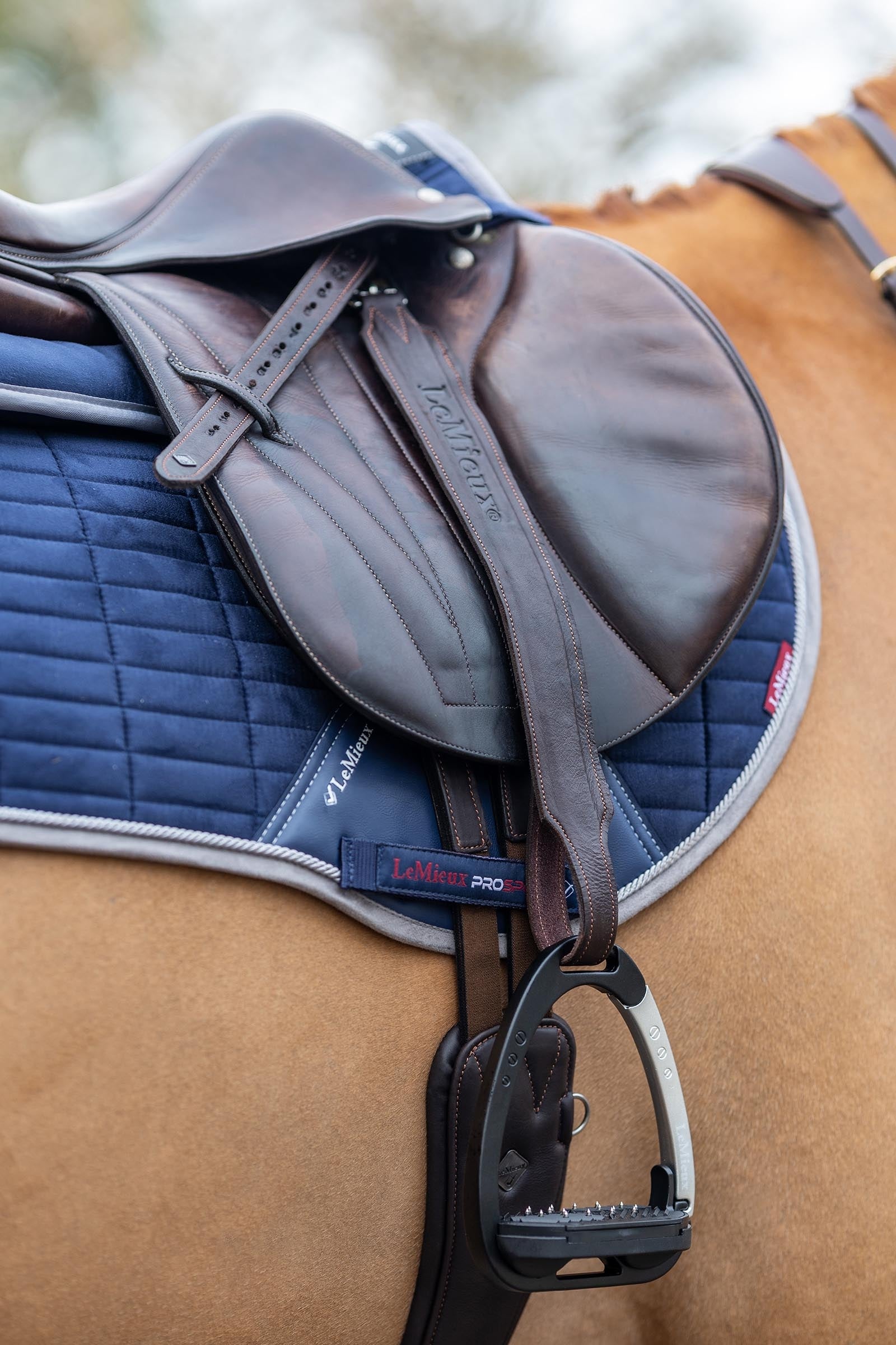 LeMieux Vector Pro Stirrup Leathers Saddles, Girths & Stirrups