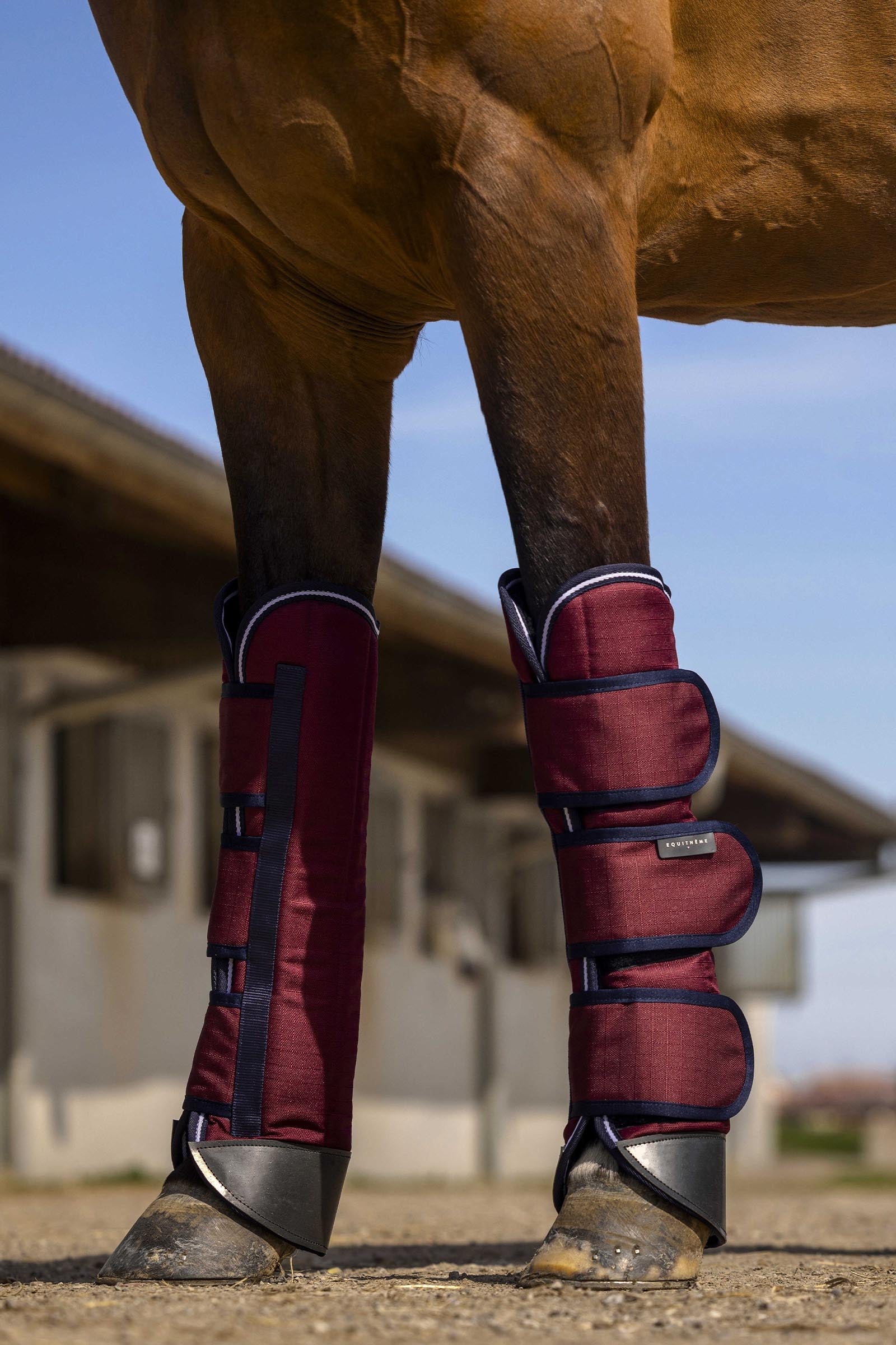 EQUITHÈME TYREX 1200D Reinforced Transport Boots Leg & Hoof Protection