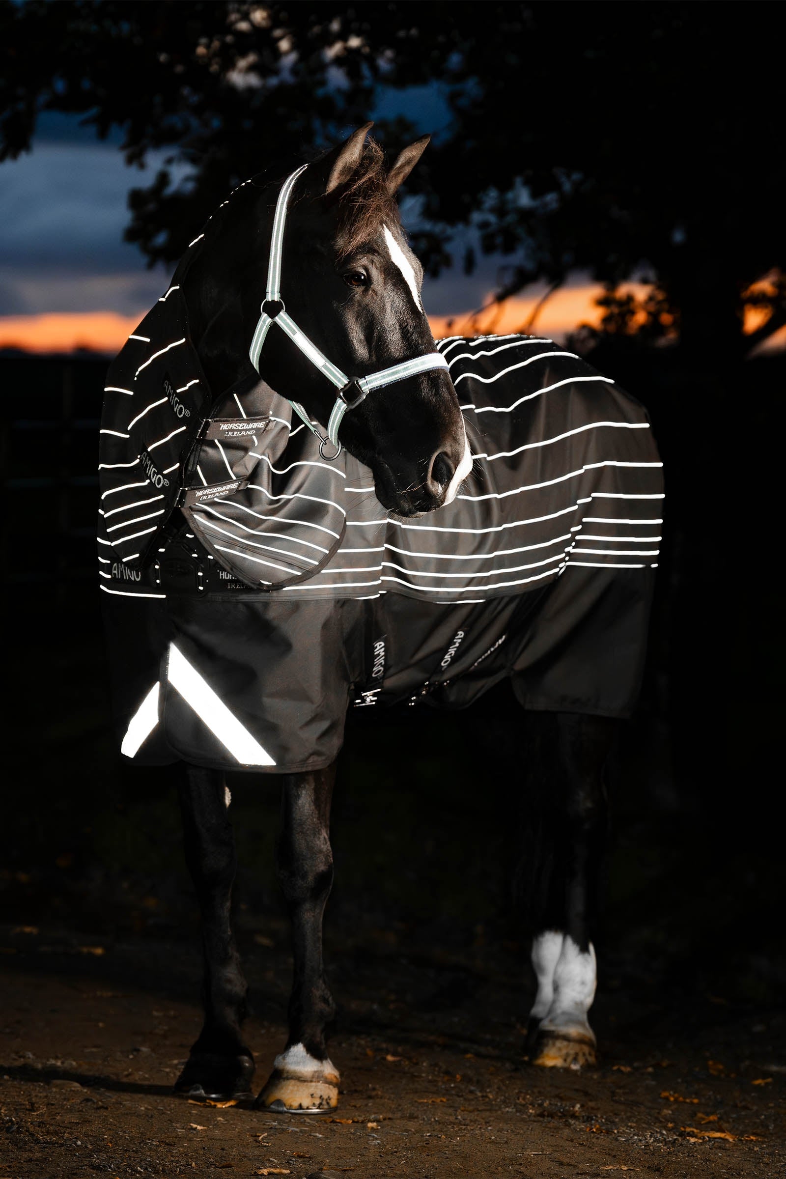 Horseware Amigo 1200D FieldSafe Reflectech Plus Turnout Rug, 100 g Horse Rugs
