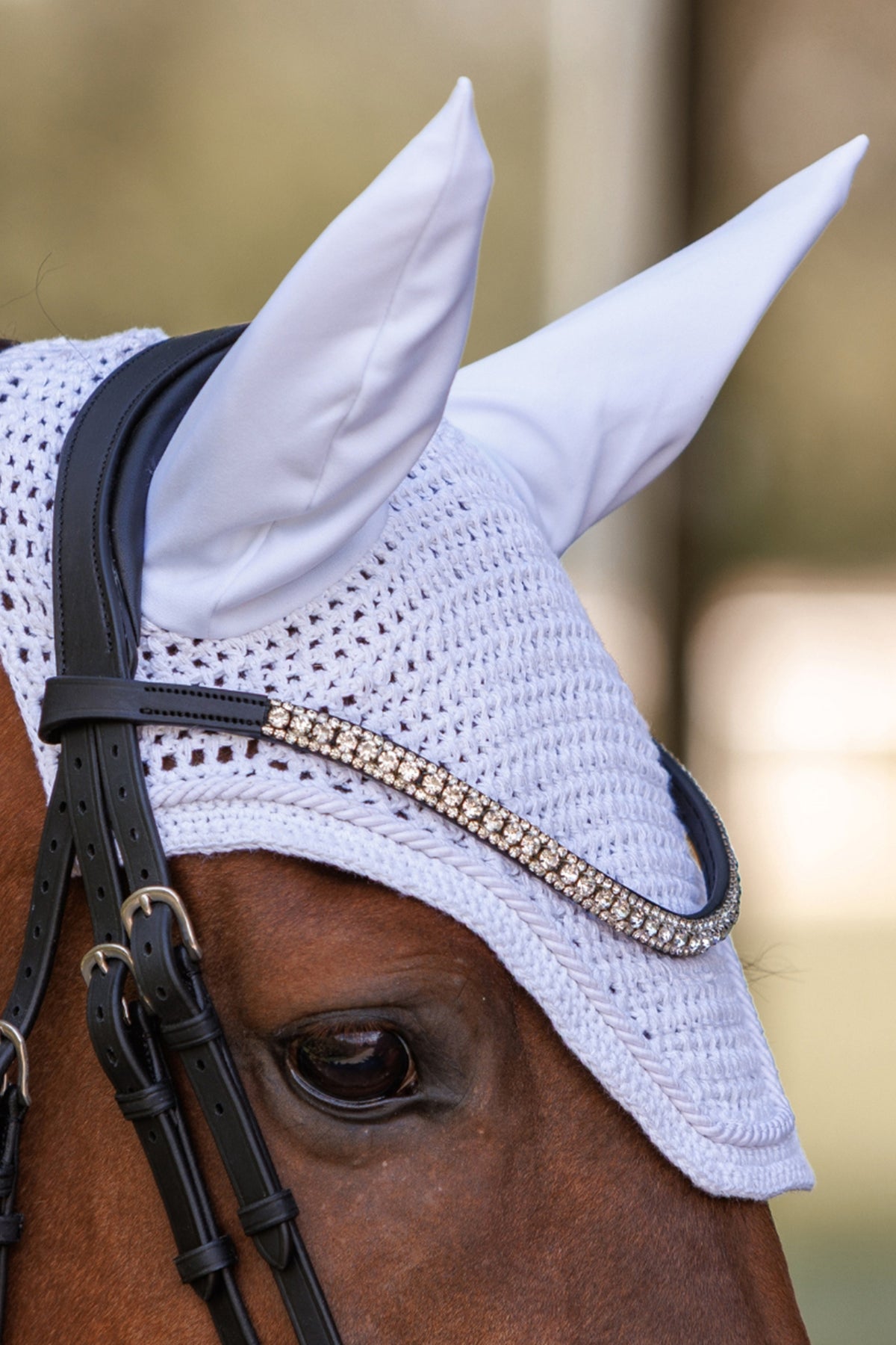 Kavalkade Noble Fly Veil Saddle Pads