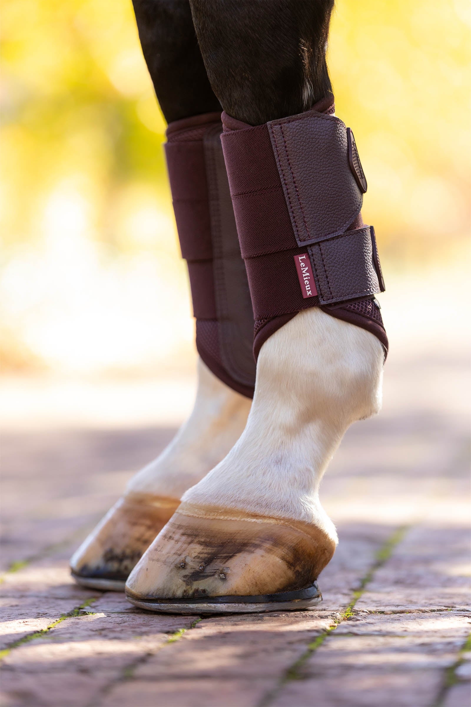 LeMieux Arika Mesh Brushing Boots Leg & Hoof Protection