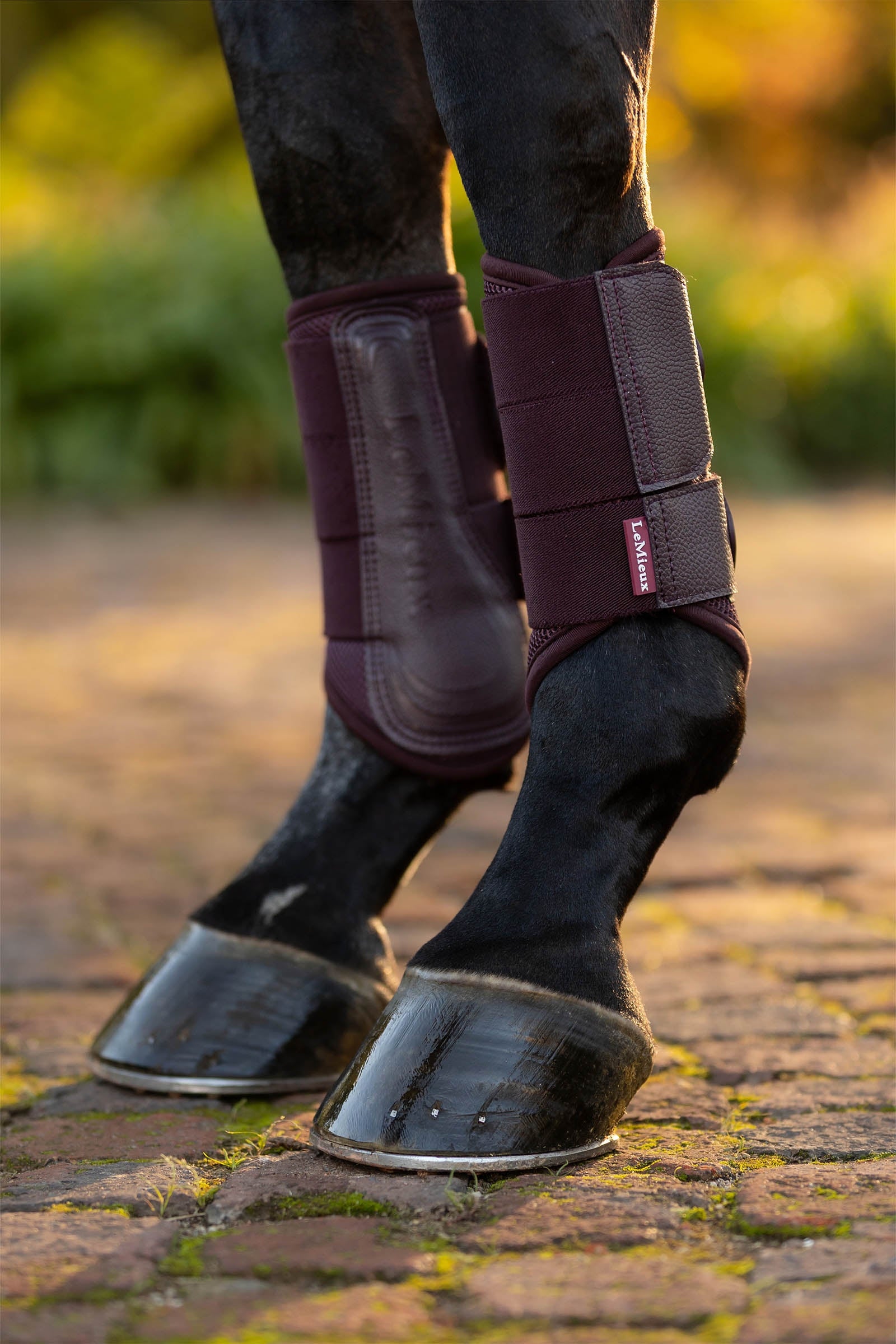 LeMieux Arika Mesh Brushing Boots Leg & Hoof Protection