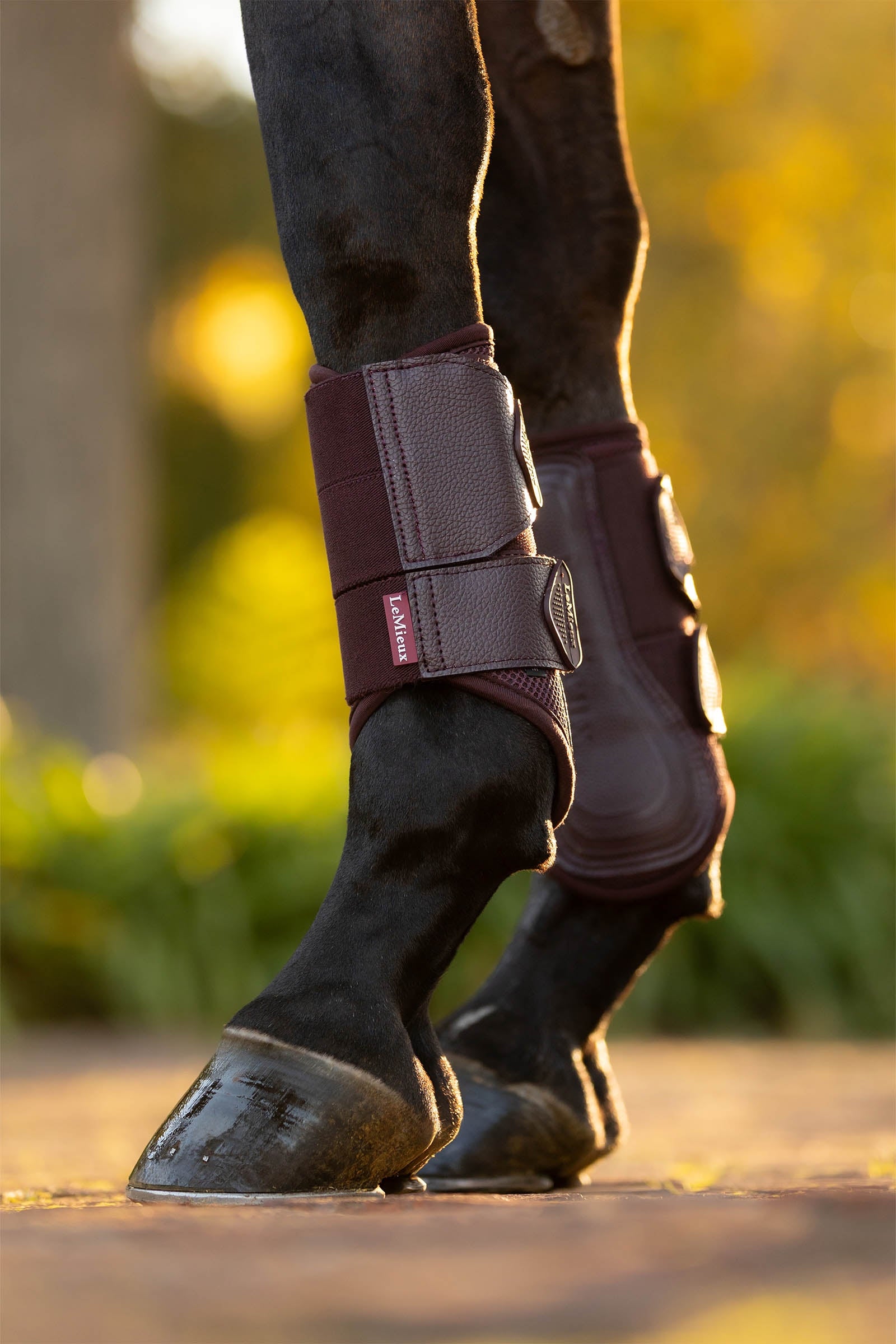 LeMieux Arika Mesh Brushing Boots Leg & Hoof Protection