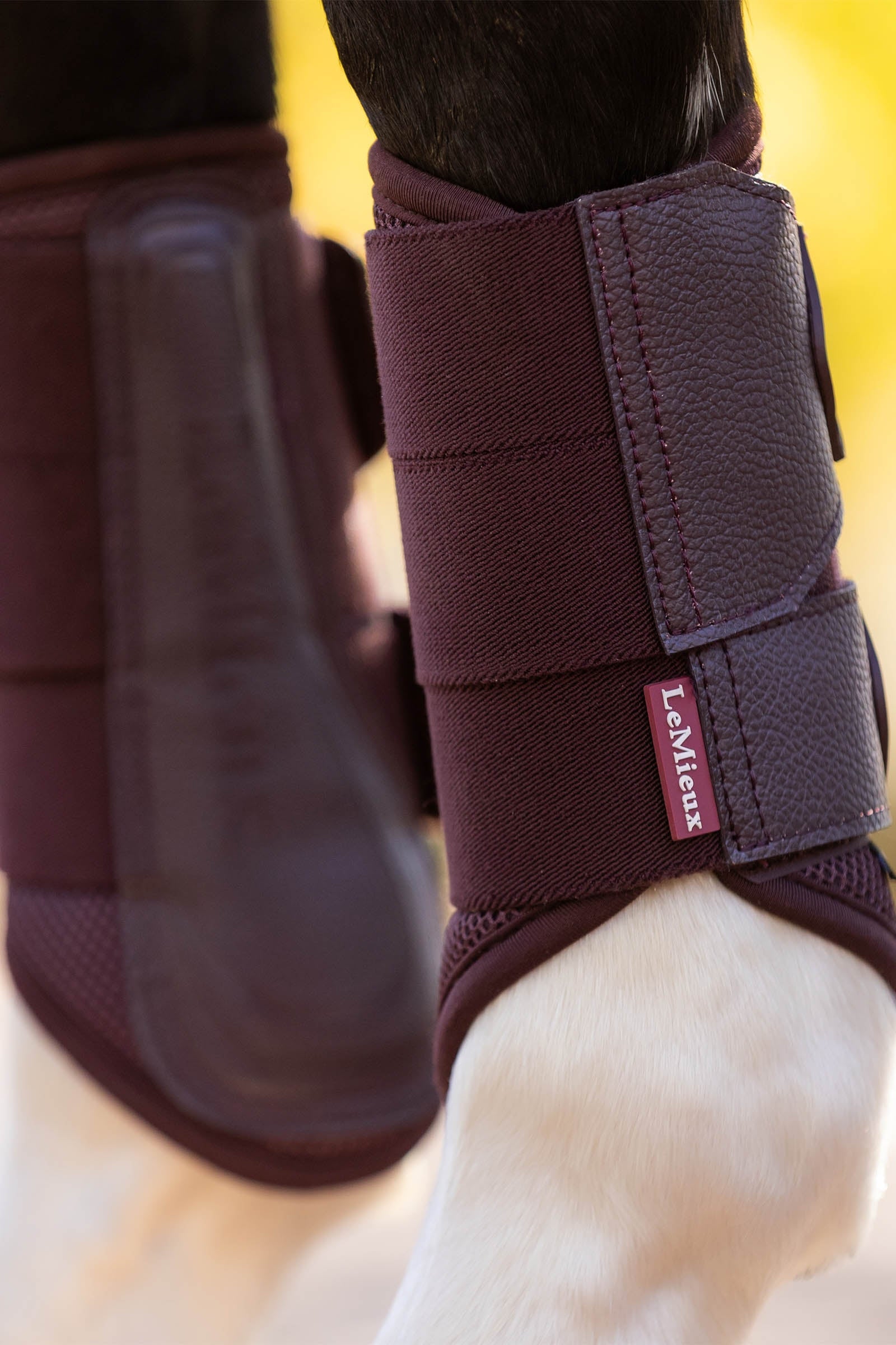 LeMieux Arika Mesh Brushing Boots Leg & Hoof Protection
