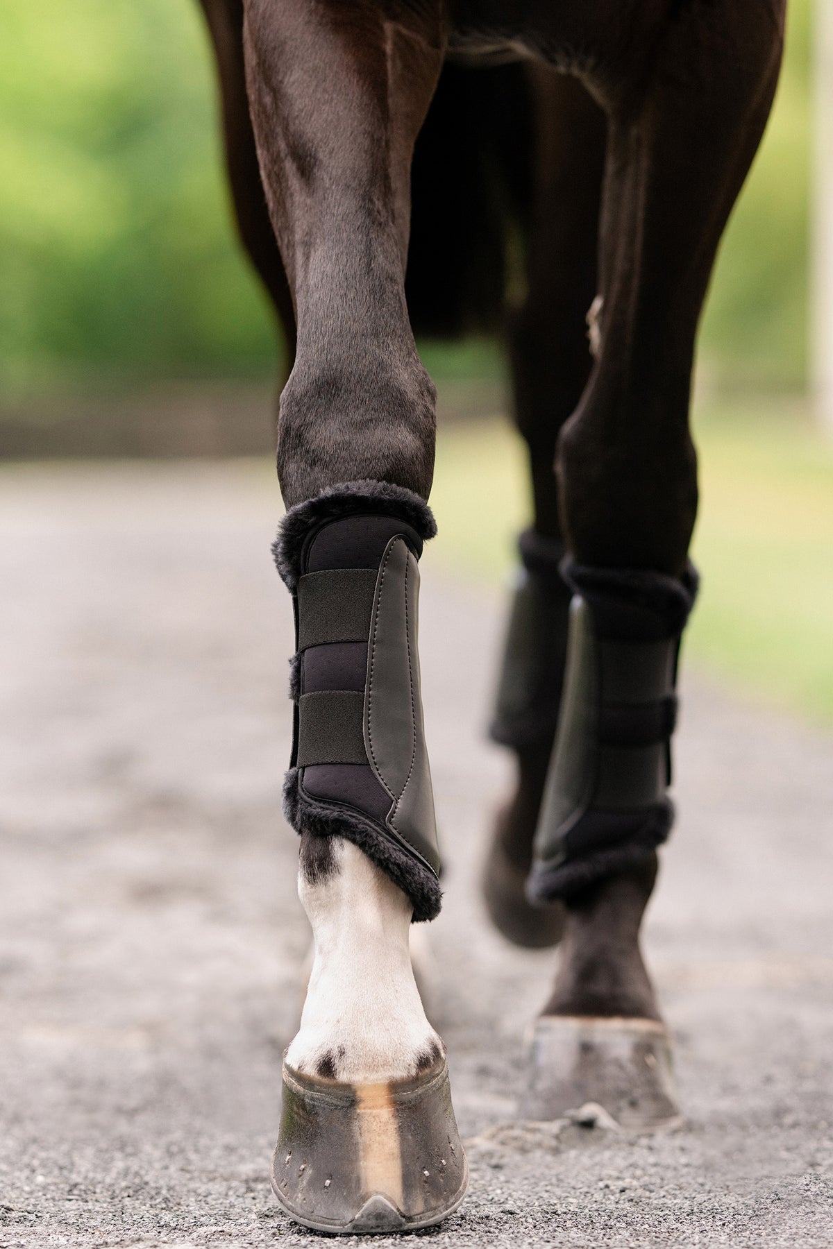 EquiFit UltraWool™ Essential® EveryDay™ Front Boot (Pair) Leg & Hoof Protection