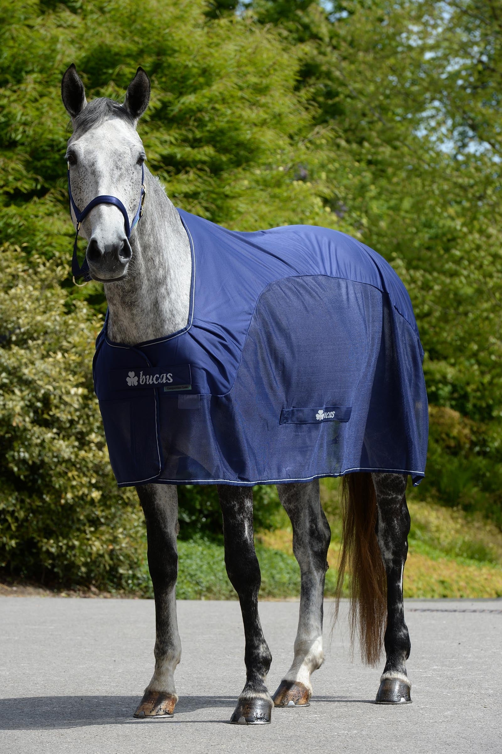 Bucas Competition Cooler Horse Rugs