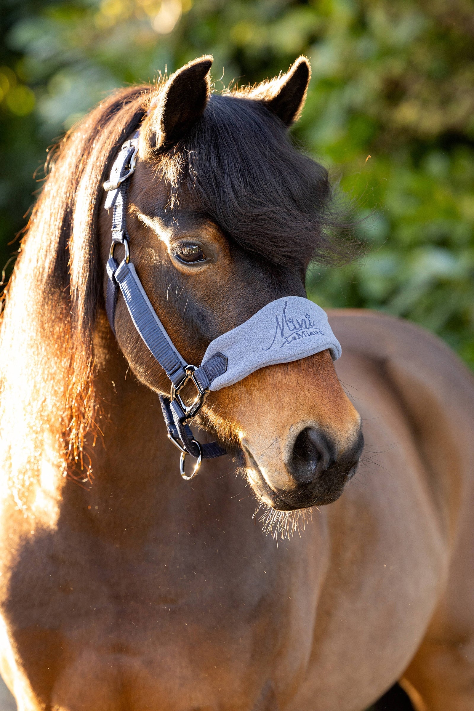LeMieux Mini Vogue Headcollar & Leadrope Gifts & Toys