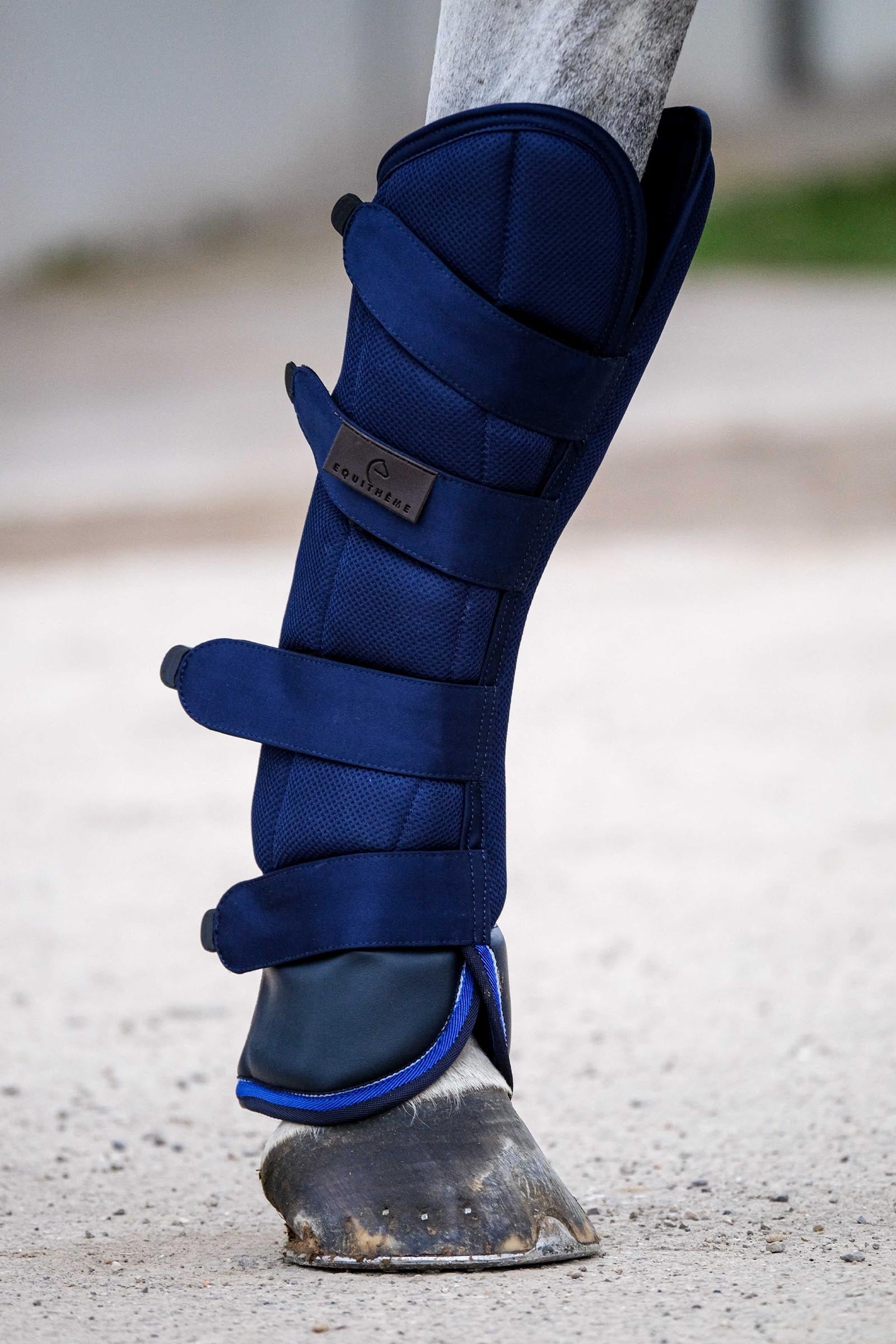 EQUITHÈME Classic Transport Boots Leg & Hoof Protection