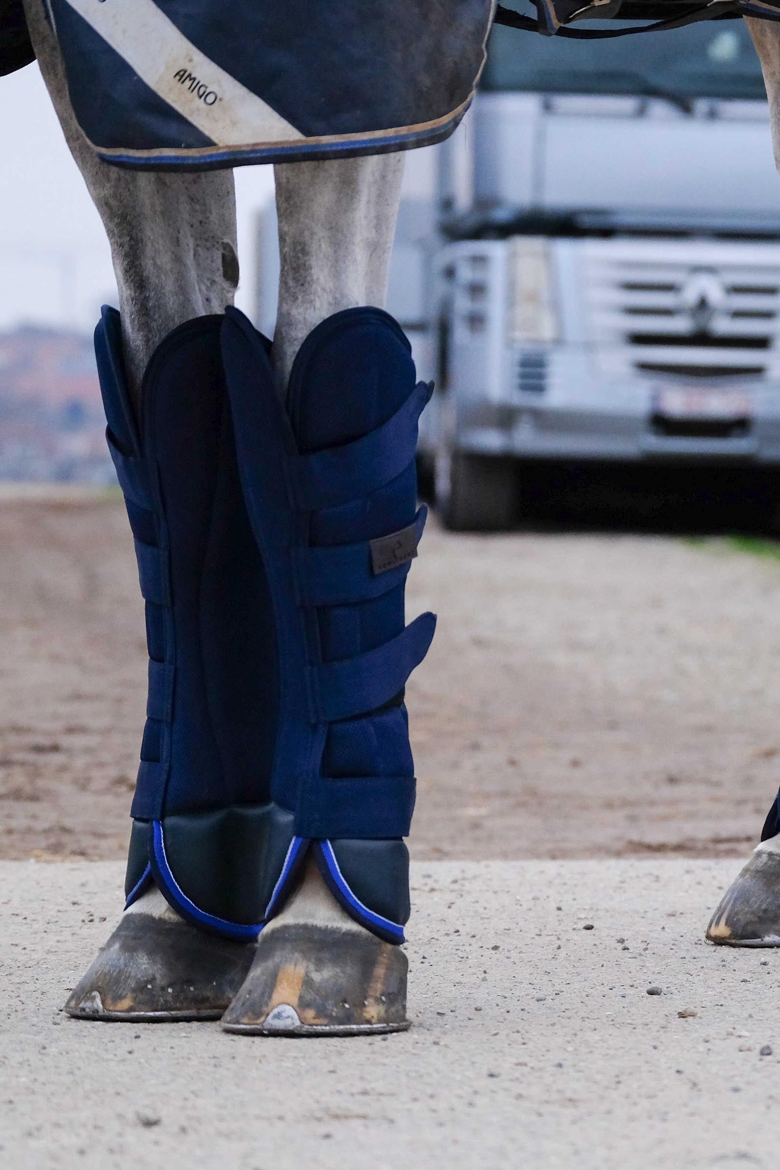 EQUITHÈME Classic Transport Boots Leg & Hoof Protection