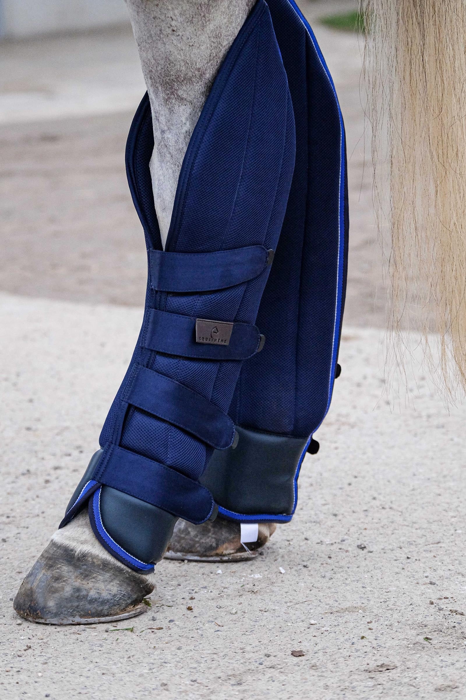 EQUITHÈME Classic Transport Boots Leg & Hoof Protection