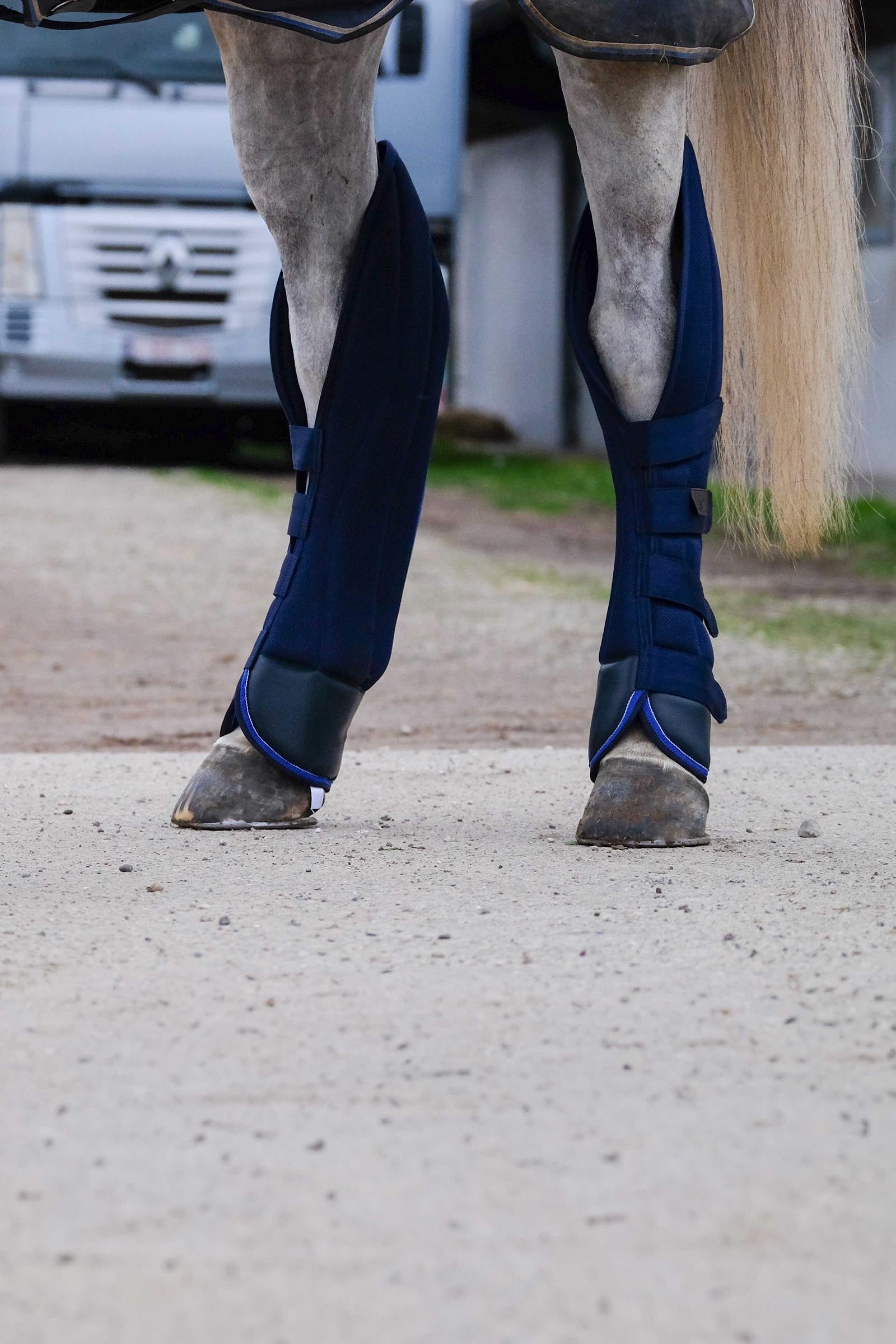 EQUITHÈME Classic Transport Boots Leg & Hoof Protection