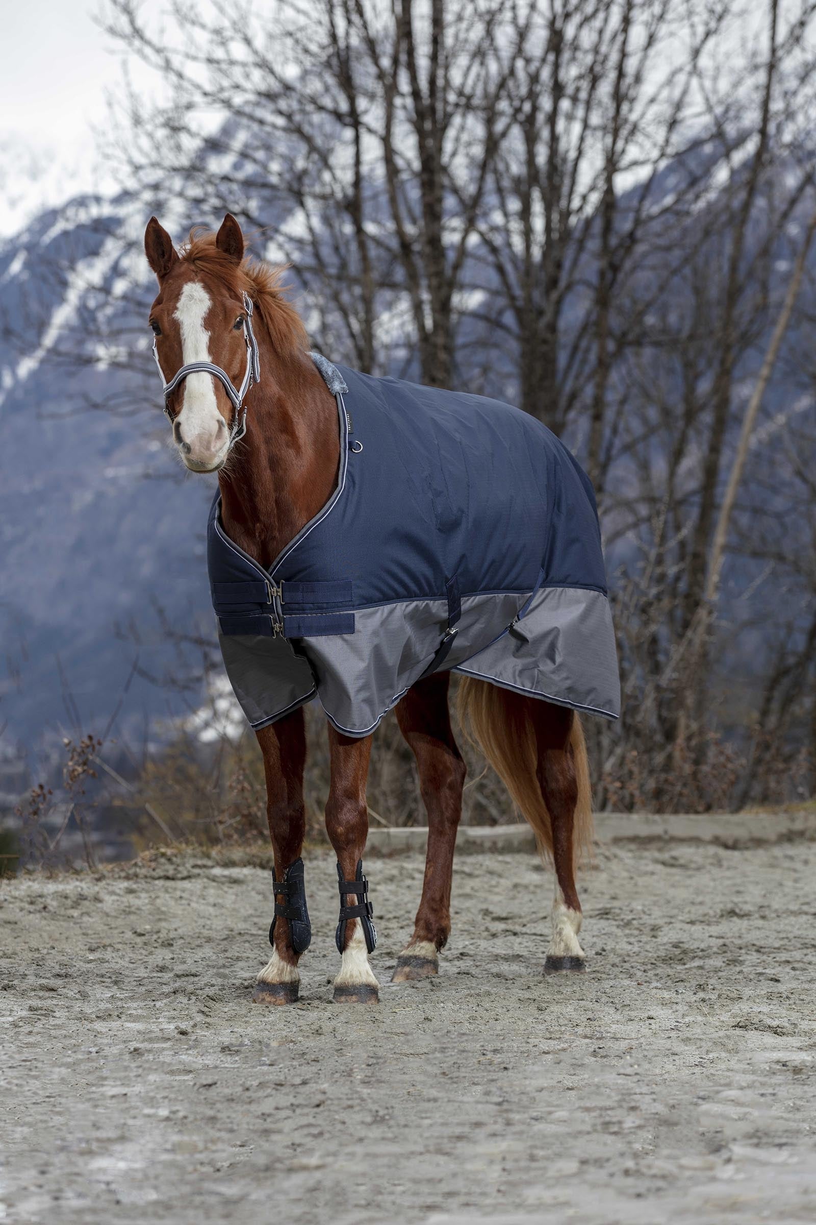 EQUITHÈME TYREX 600D Turnout Rug, 150g Horse Rugs