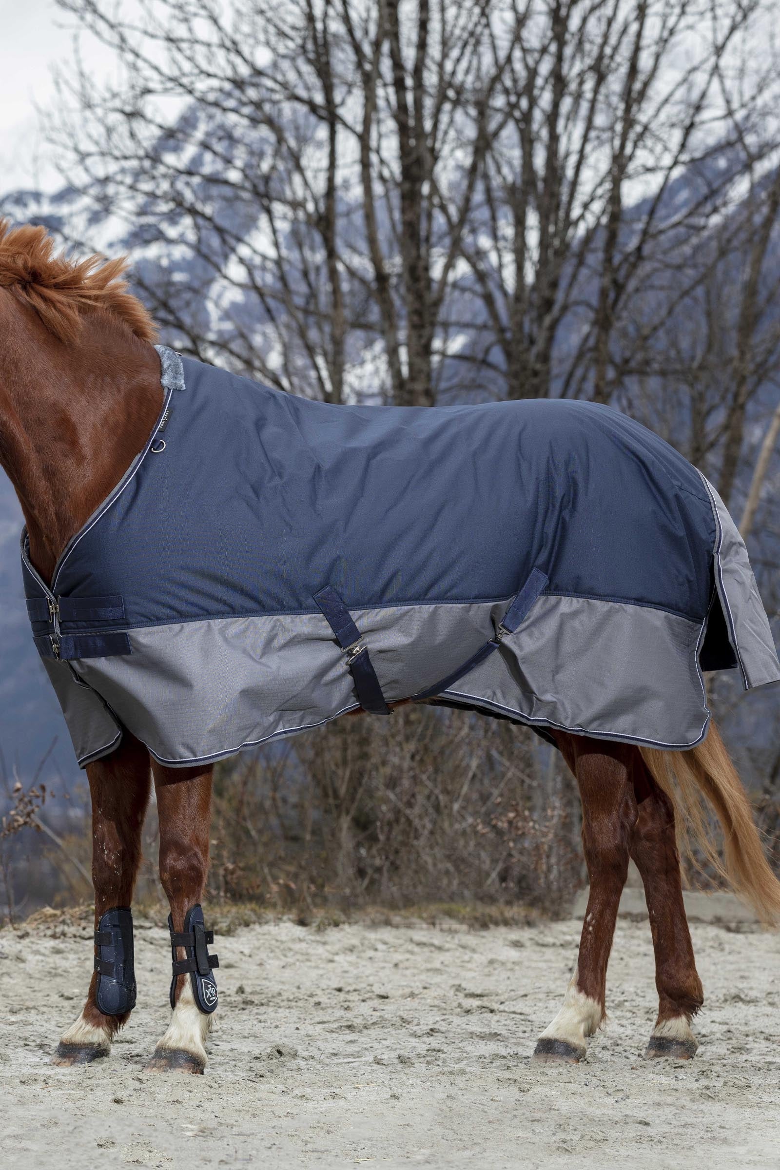 EQUITHÈME TYREX 600D Turnout Rug, 150g Horse Rugs
