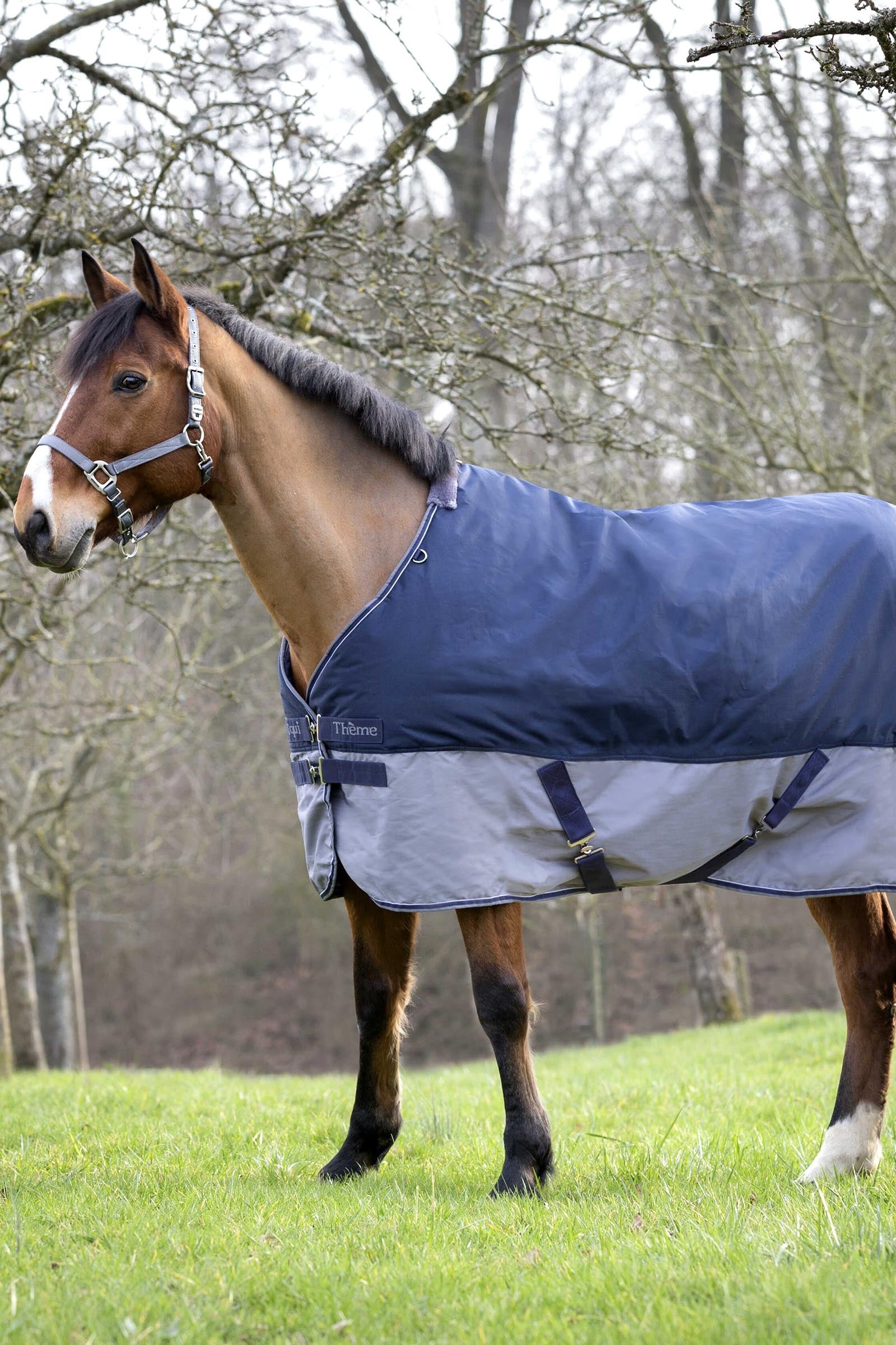 EQUITHÈME TYREX 600D Turnout Rug, 150g Horse Rugs