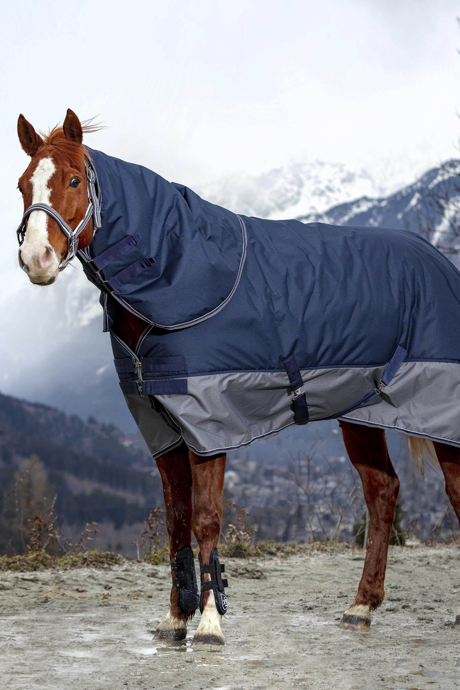 EQUITHÈME TYREX 600D Turnout Rug, 150g Horse Rugs