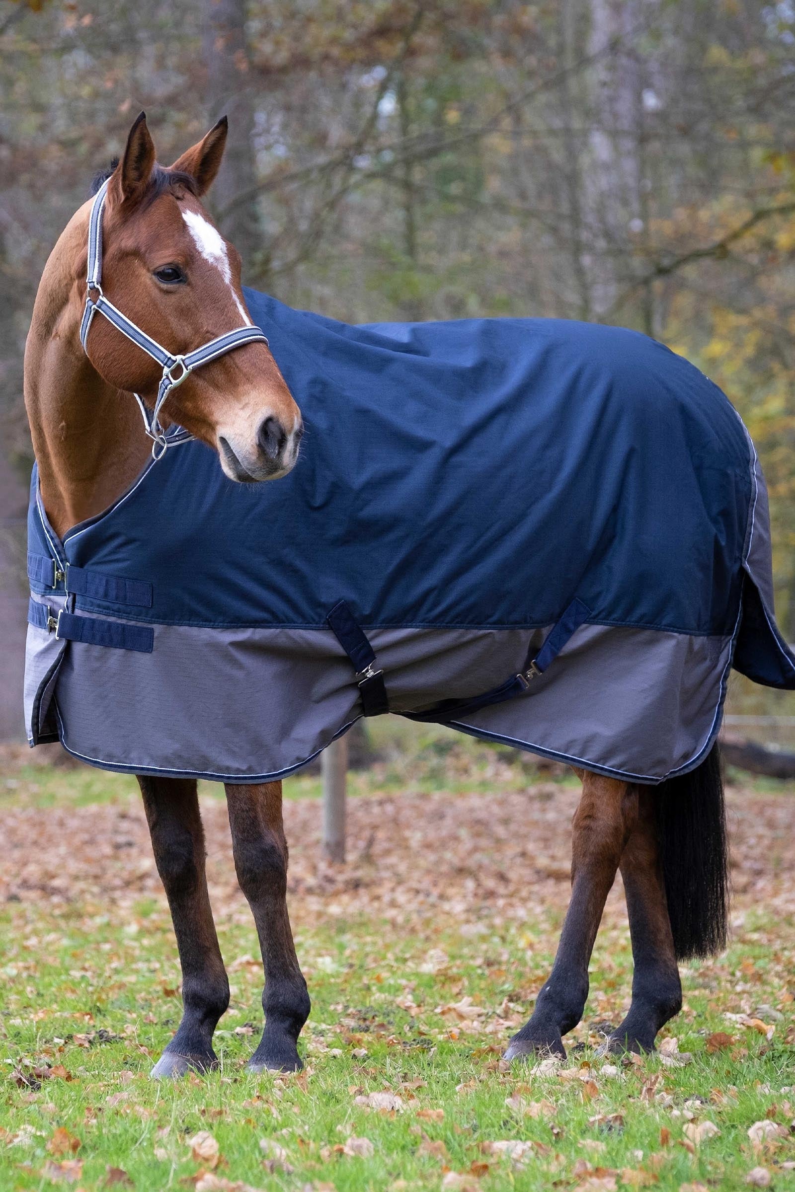 EQUITHÈME TYREX 600D Turnout Rug, 150g Horse Rugs