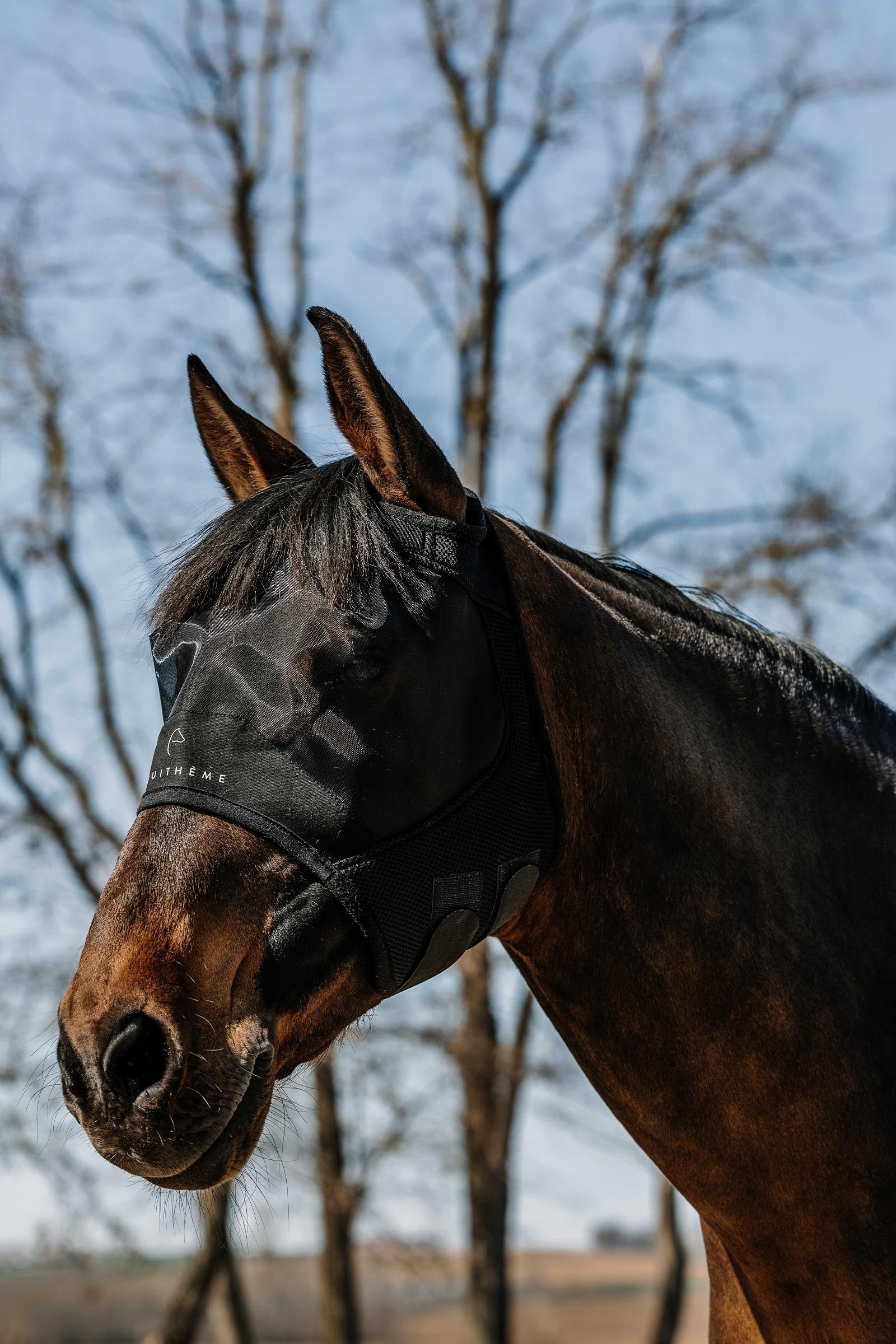 EQUITHÈME Mesh Fly Mask/ UV Mask Without Ears Antifly Protection for Horses