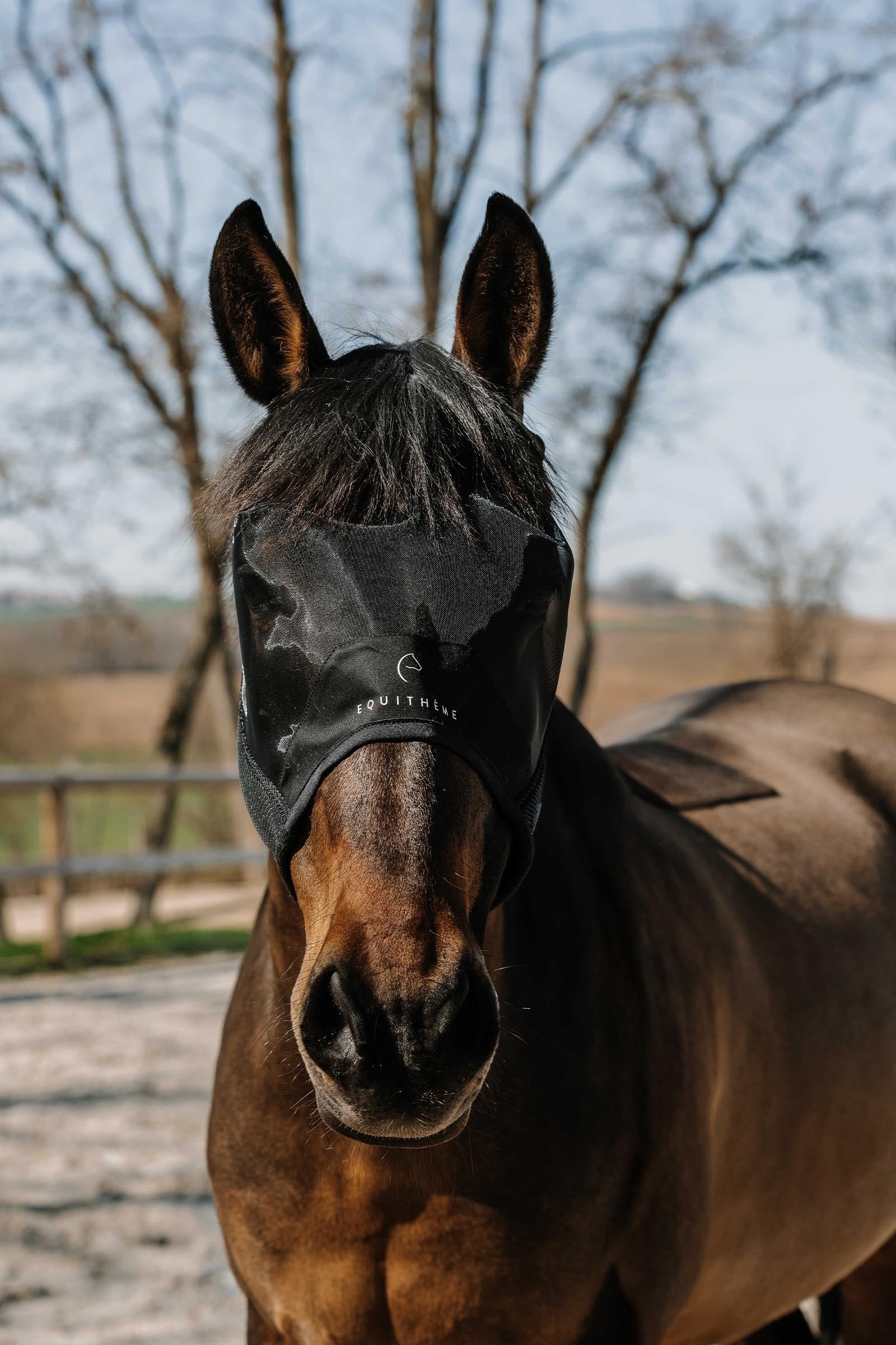 EQUITHÈME Mesh Fly Mask/ UV Mask Without Ears Antifly Protection for Horses